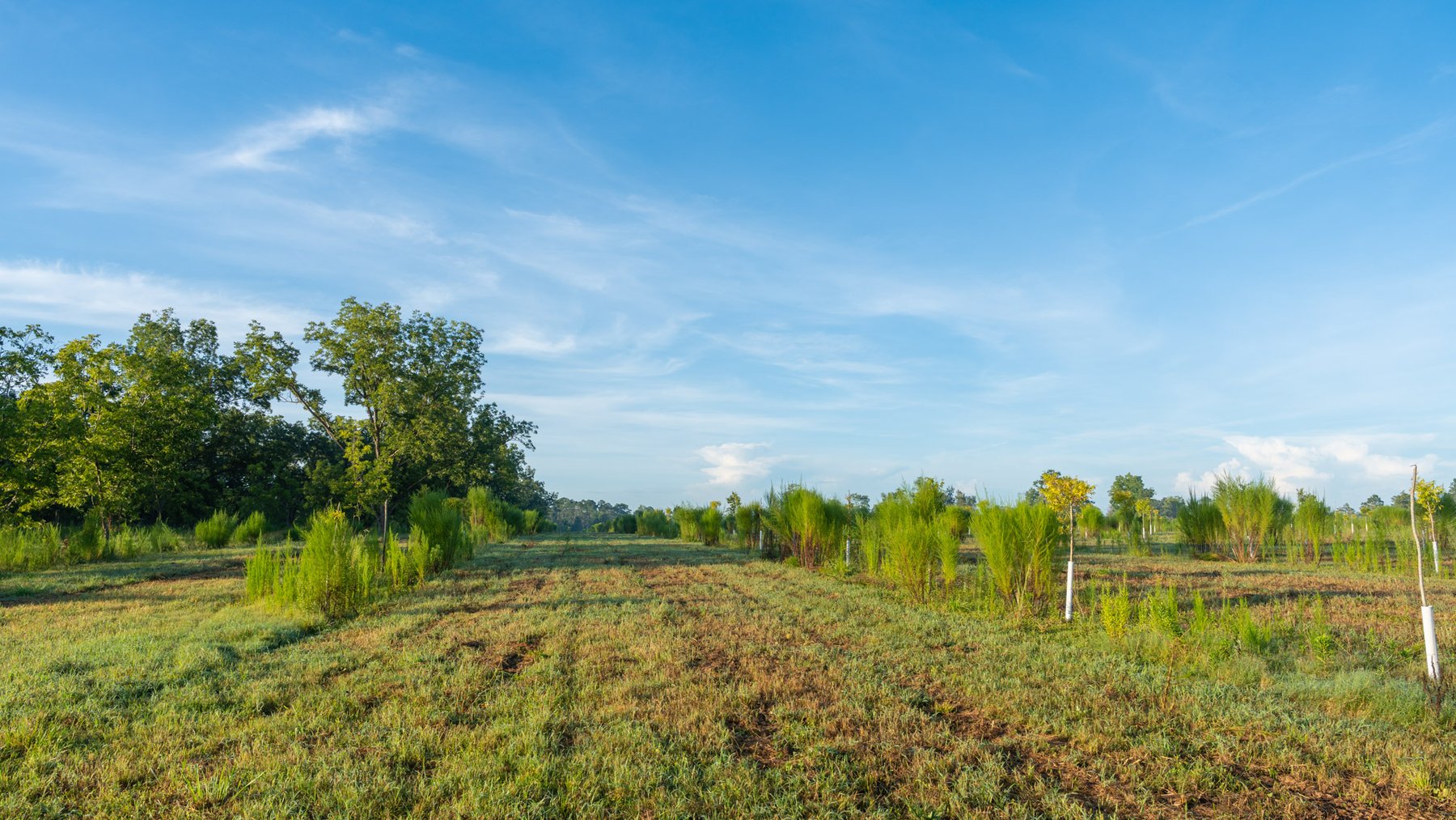 Image for 163± Acres - Chason Orchard - Ideal for Residential Homesites, Estate Lots & Expansion Opportunities - Irrigated Orchard with Home, Ample Frontage & Wooded Tracts
