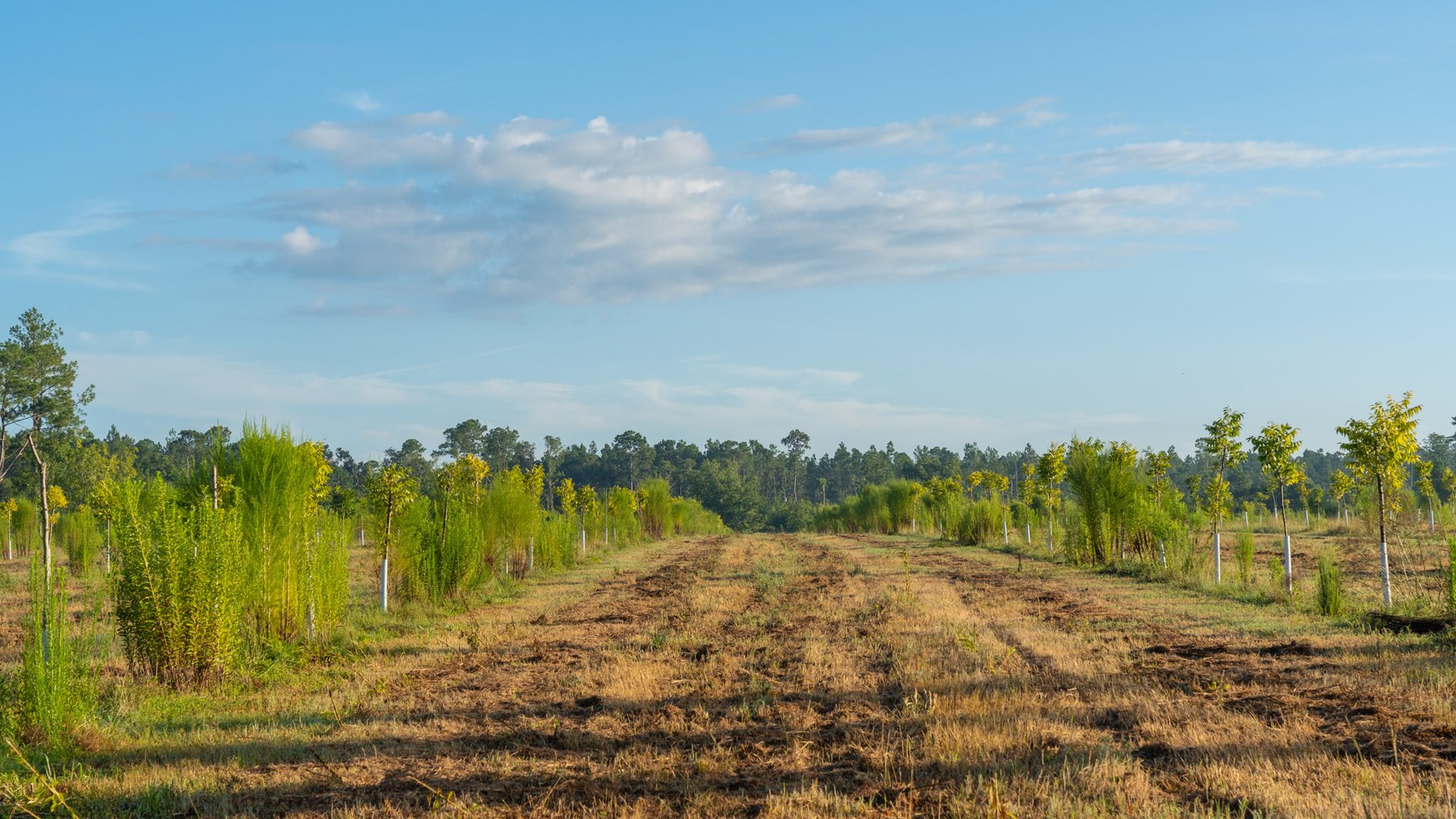 Image for 163± Acres - Chason Orchard - Ideal for Residential Homesites, Estate Lots & Expansion Opportunities - Irrigated Orchard with Home, Ample Frontage & Wooded Tracts