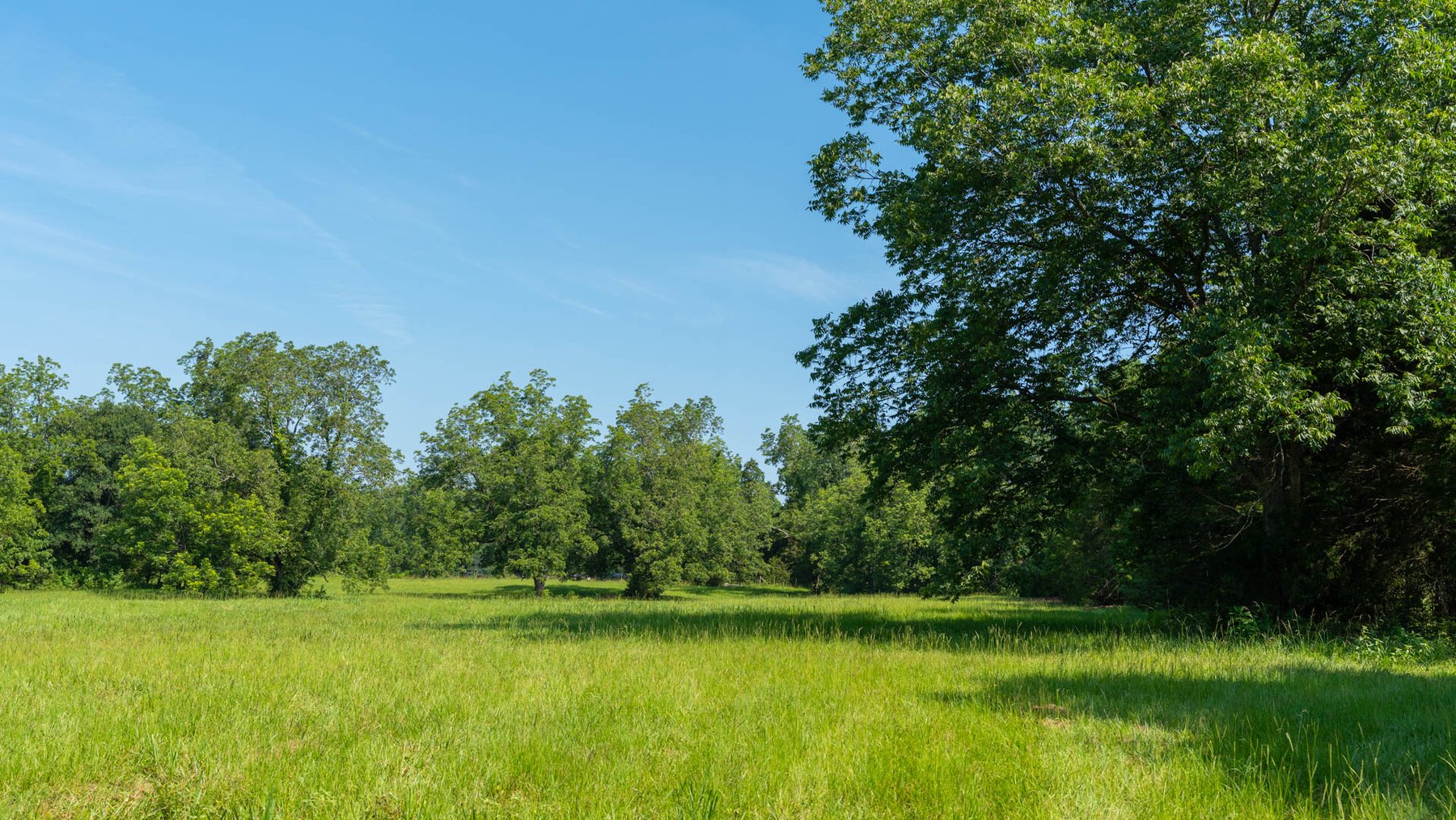 Image for 16.77 +/- Acres – The Tobler Oaks Tract 1 - Prime Potential Homesite w/ Ample Recreational Acreage