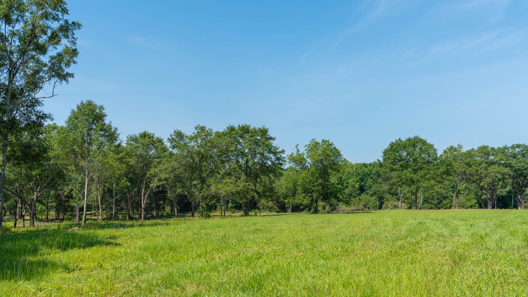 Image for 16.77 +/- Acres – The Tobler Oaks Tract 1 - Prime Potential Homesite w/ Ample Recreational Acreage