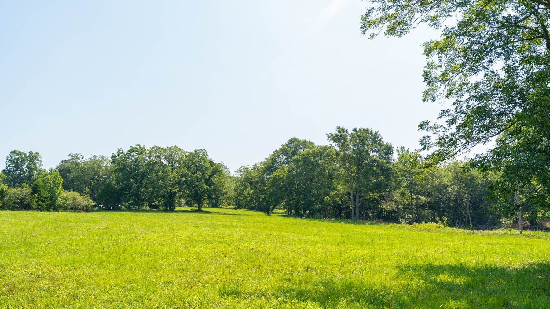 Image for 16.77 +/- Acres – The Tobler Oaks Tract 1 - Prime Potential Homesite w/ Ample Recreational Acreage