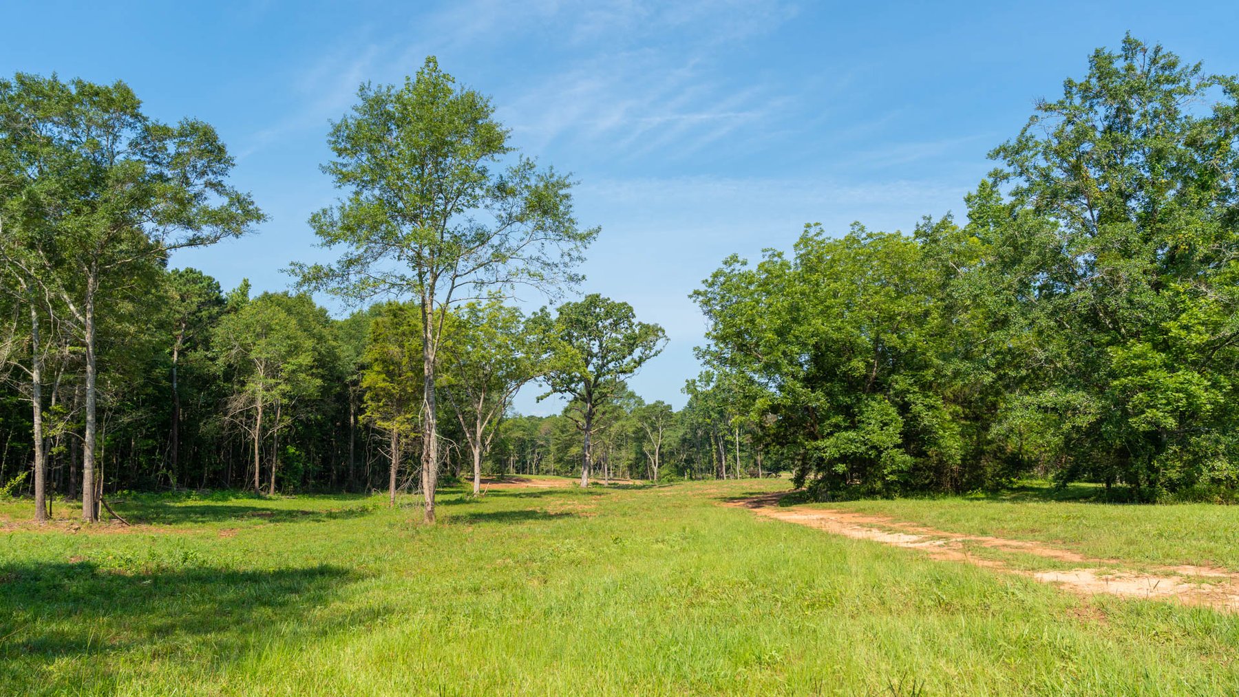Image for 24.346 +/- Acres – The Tobler Oaks Tract 2 - Great Lamar County Homesite w/ Ample Recreational Acreage
