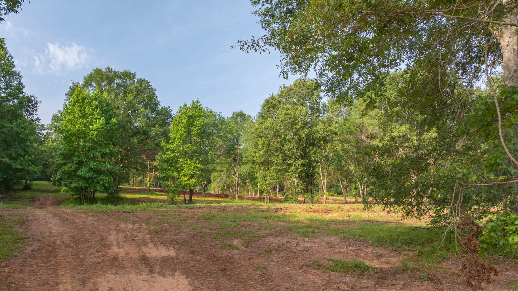 Image for 24.346 +/- Acres – The Tobler Oaks Tract 2 - Great Lamar County Homesite w/ Ample Recreational Acreage