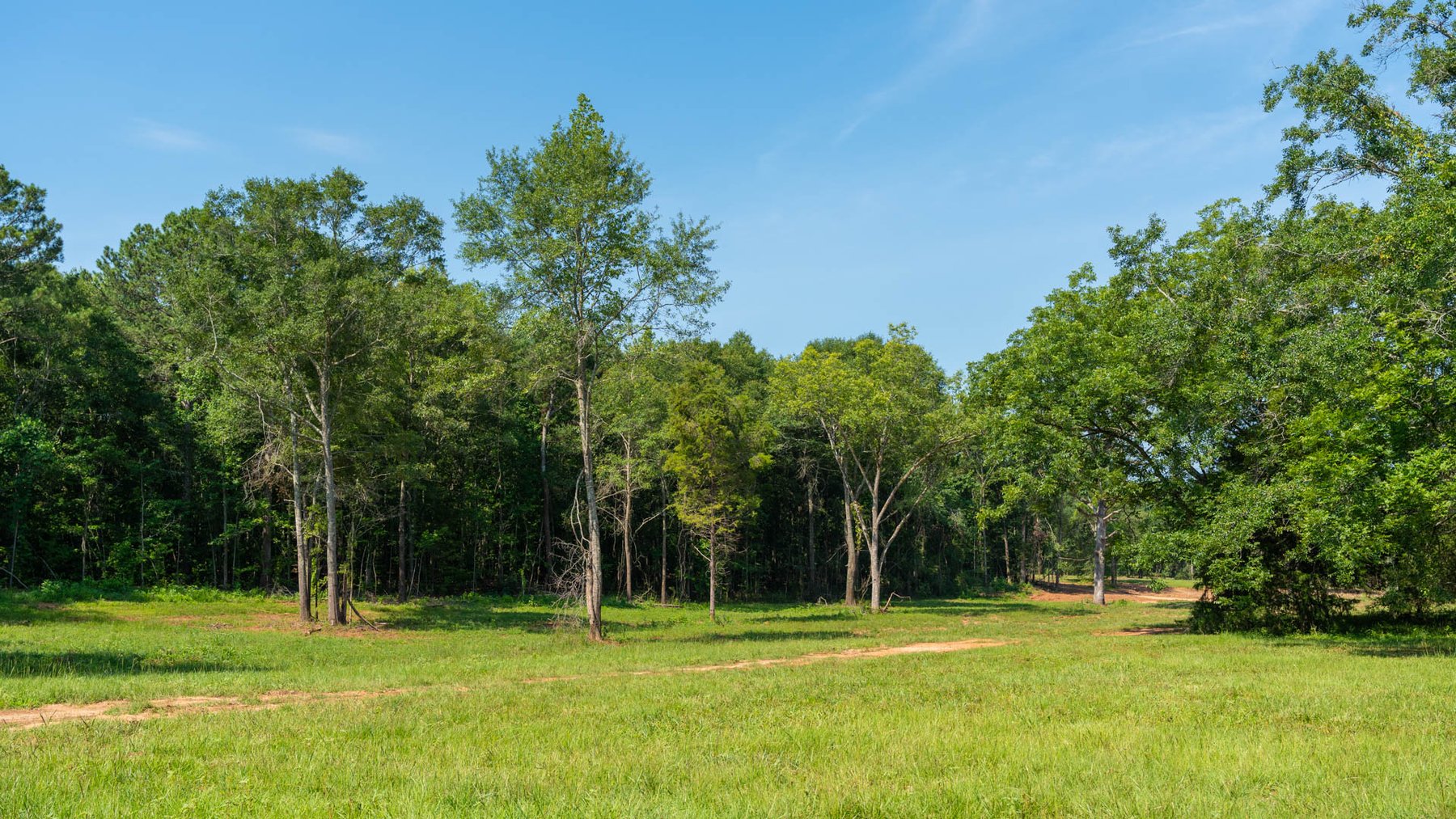 Image for 24.346 +/- Acres – The Tobler Oaks Tract 2 - Great Lamar County Homesite w/ Ample Recreational Acreage