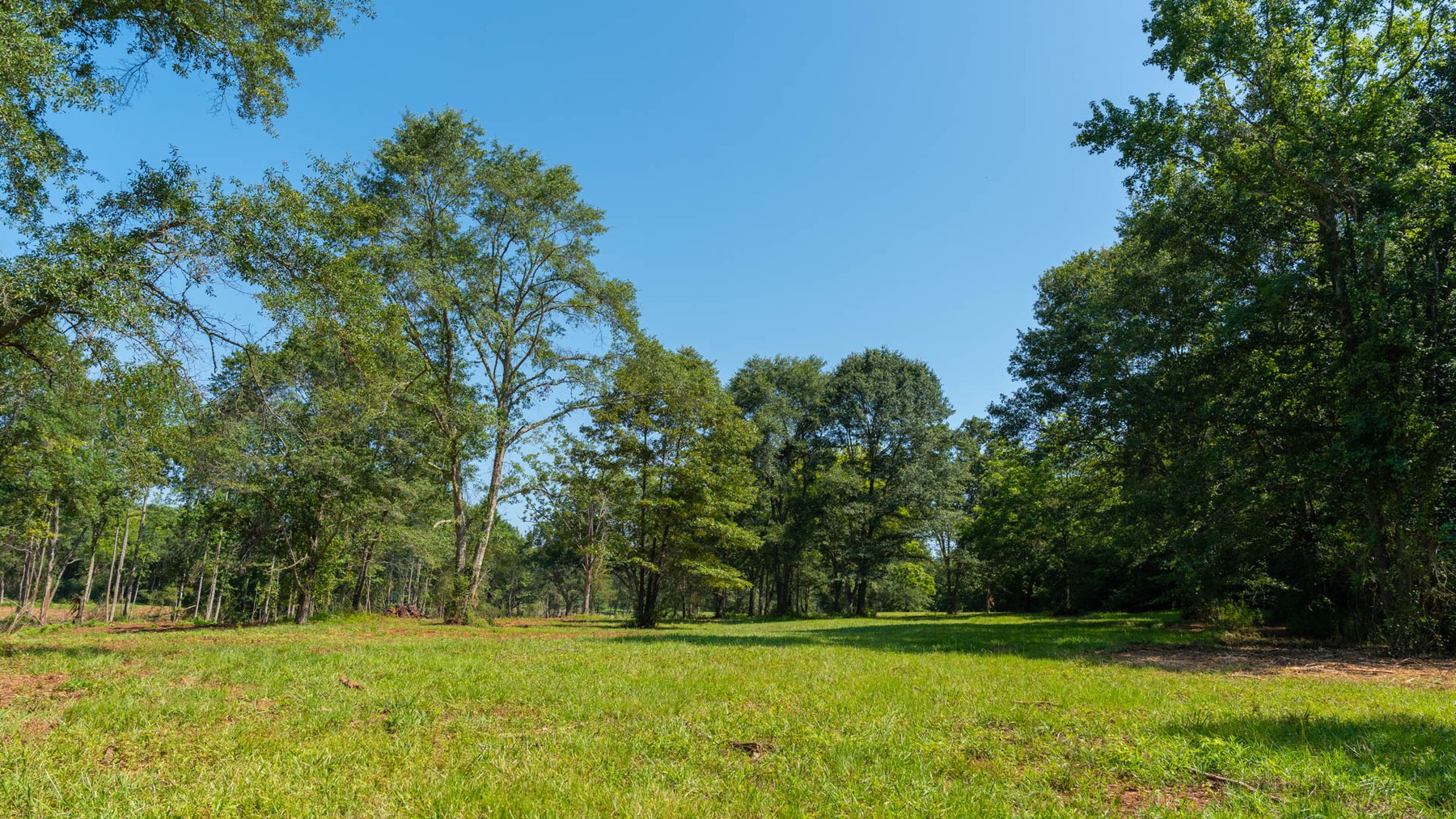Image for 24.346 +/- Acres – The Tobler Oaks Tract 2 - Great Lamar County Homesite w/ Ample Recreational Acreage