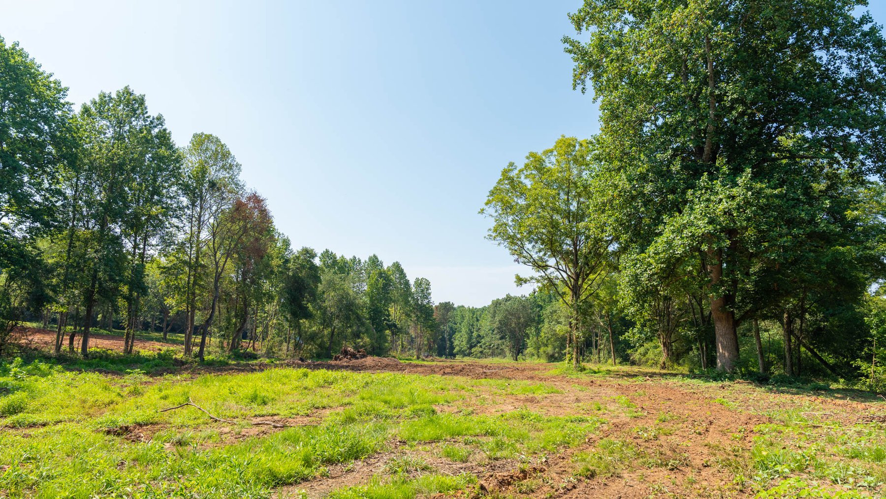 Image for 24.346 +/- Acres – The Tobler Oaks Tract 2 - Great Lamar County Homesite w/ Ample Recreational Acreage