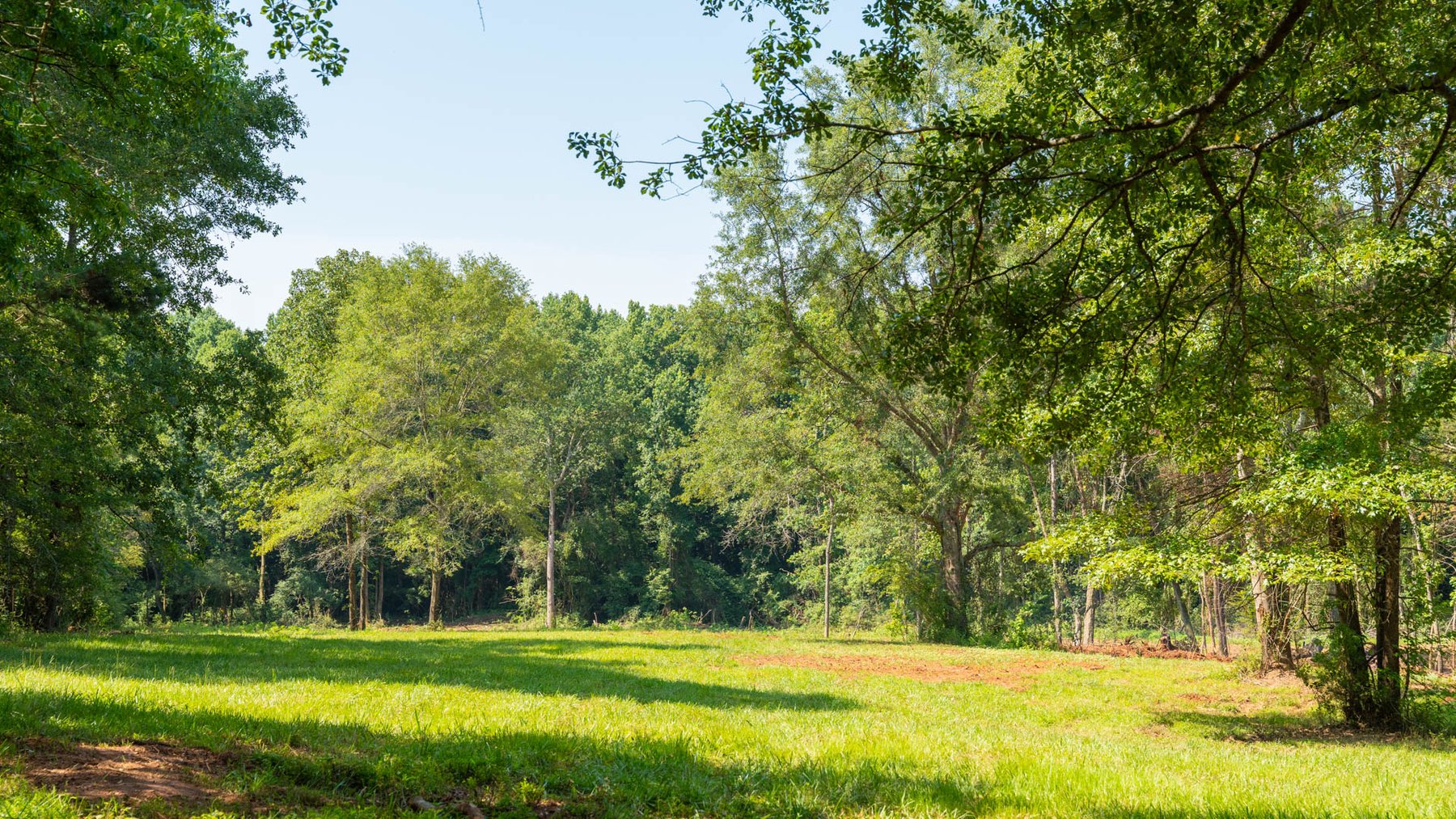 Image for 24.346 +/- Acres – The Tobler Oaks Tract 2 - Great Lamar County Homesite w/ Ample Recreational Acreage