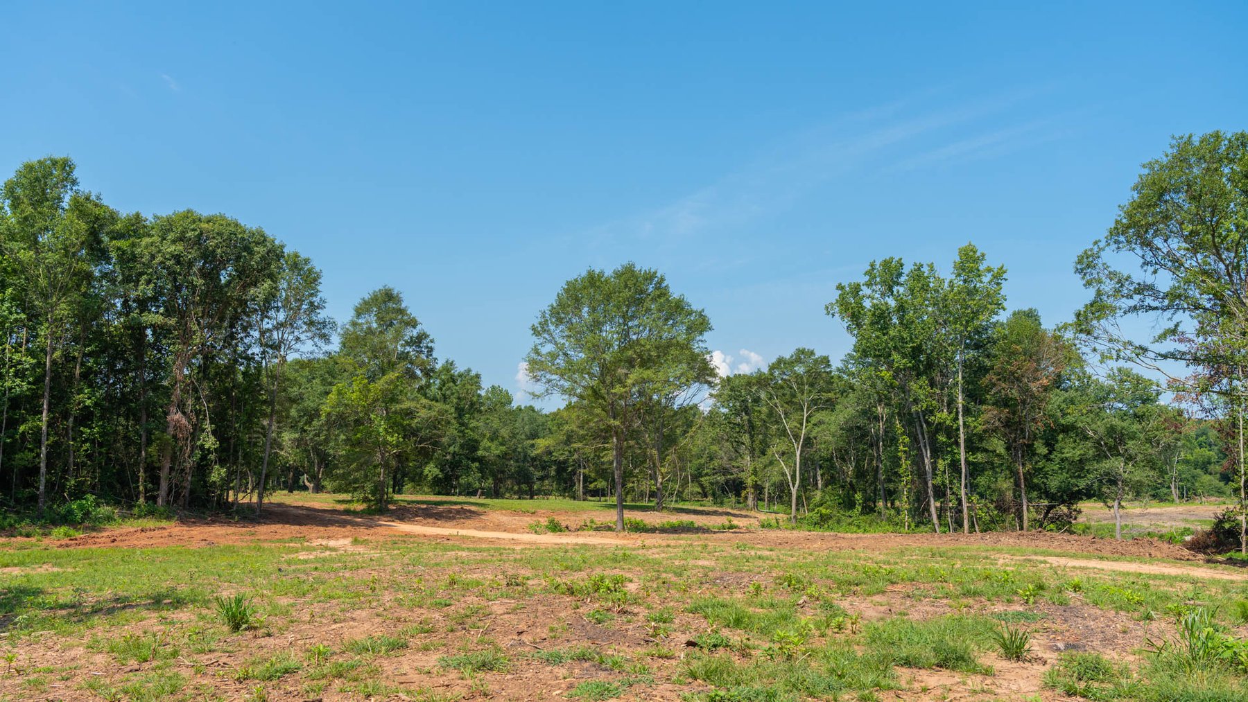 Image for 24.346 +/- Acres – The Tobler Oaks Tract 2 - Great Lamar County Homesite w/ Ample Recreational Acreage