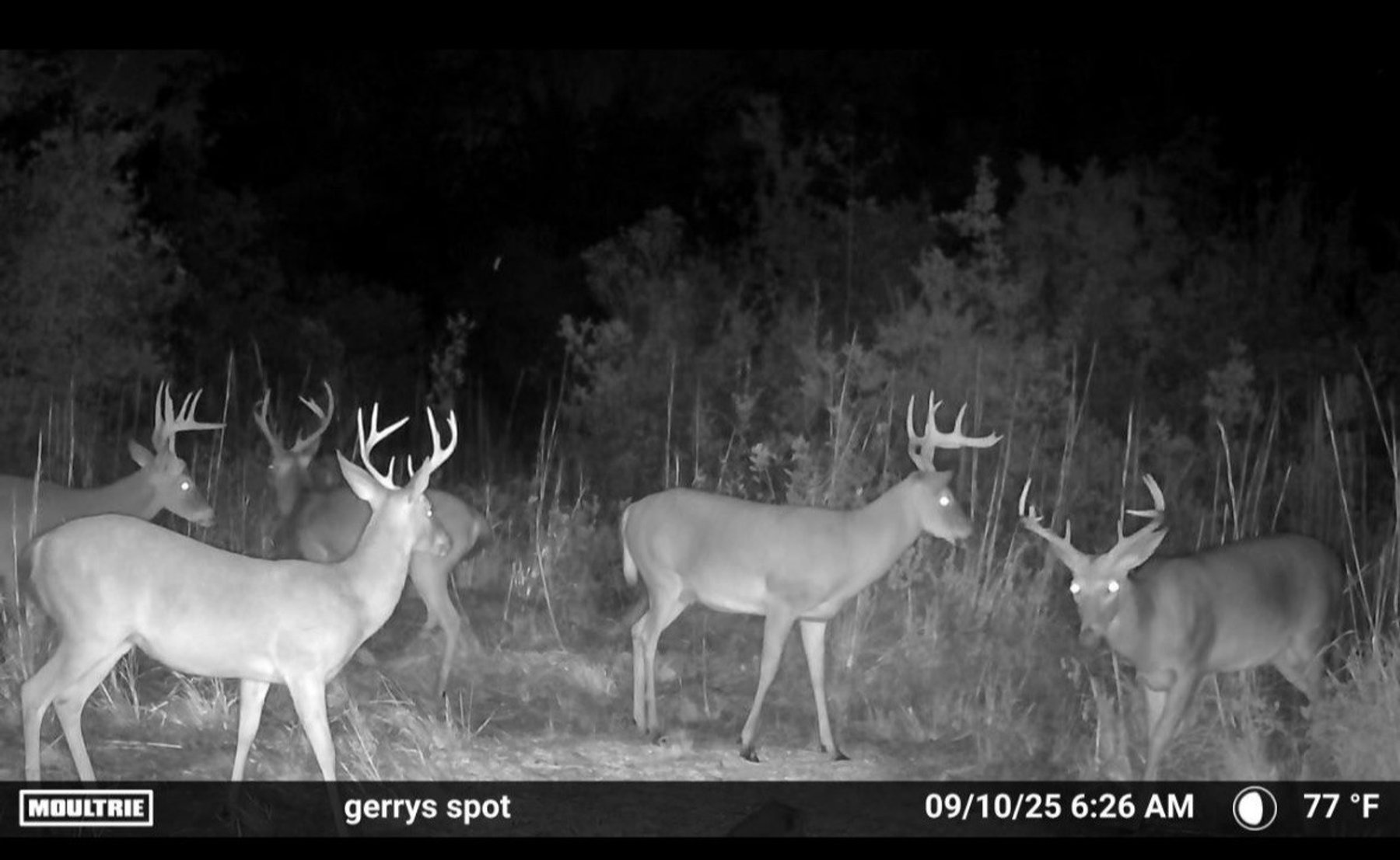 Image for 163± Acres - Chason Orchard - Ideal for Residential Homesites, Estate Lots & Expansion Opportunities - Irrigated Orchard with Home, Ample Frontage & Wooded Tracts