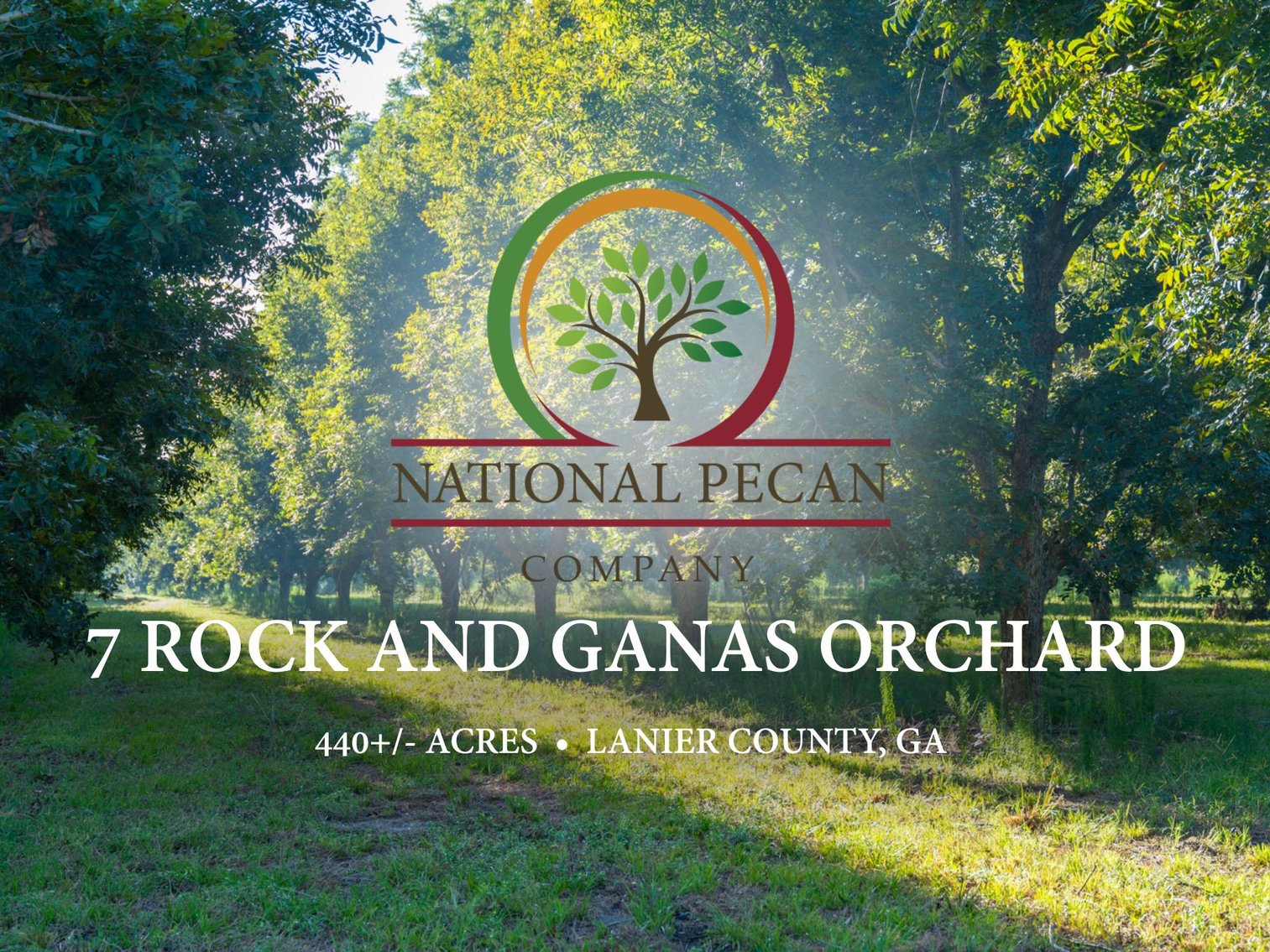 Image for 440± Acres - 7 Rock & Ganas Orchard - Exceptional Road Frontage w/ Mini-Farm Potential & Residential Lots - Irrigated Pecan Orchard with Strong Varieties