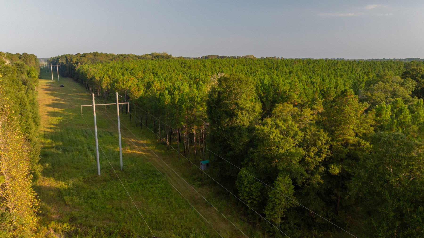 Image for 52± Acres - The Bridge Creek Farm - Stocked Pond, Pines, & Trophy Game - Offered Divided & as a Whole