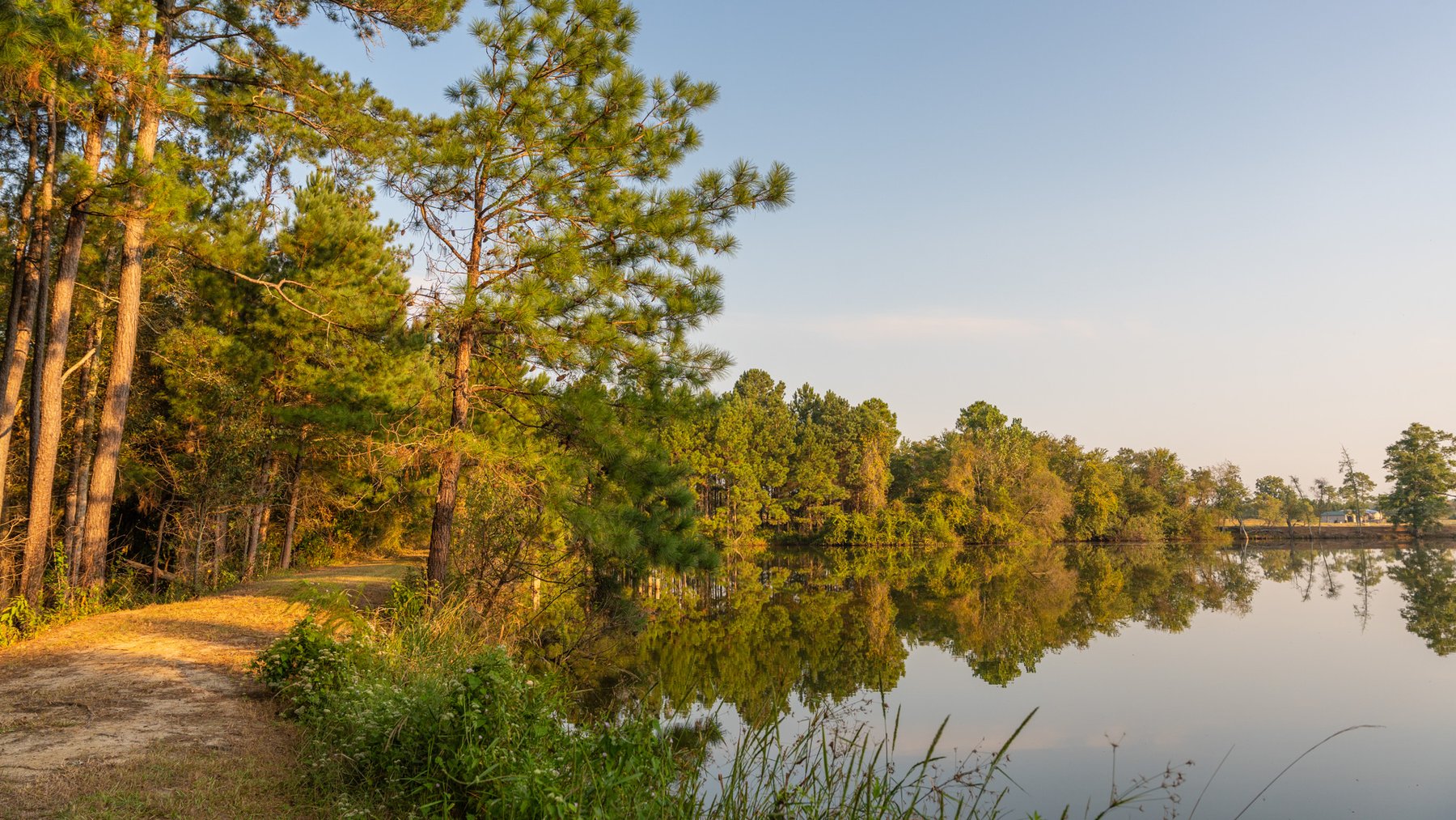Image for 52± Acres - The Bridge Creek Farm - Stocked Pond, Pines, & Trophy Game - Offered Divided & as a Whole