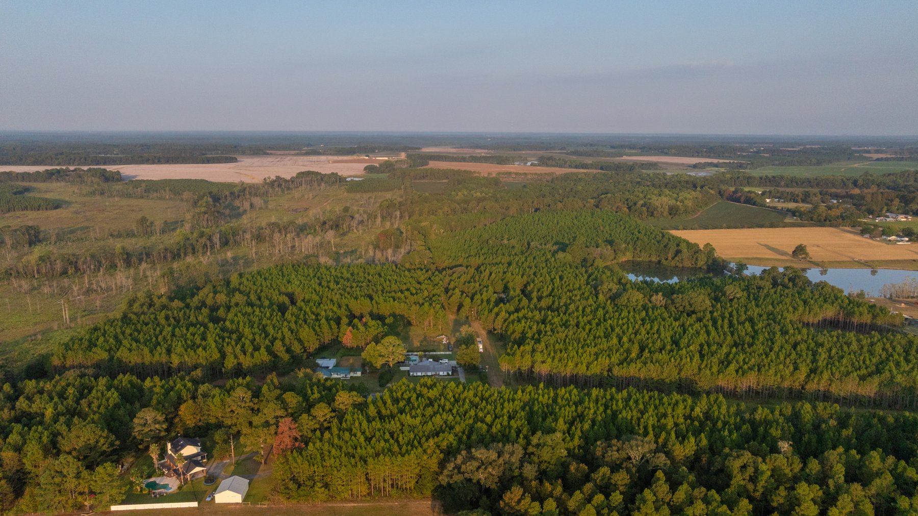 Image for 52± Acres - The Bridge Creek Farm - Stocked Pond, Pines, & Trophy Game - Offered Divided & as a Whole