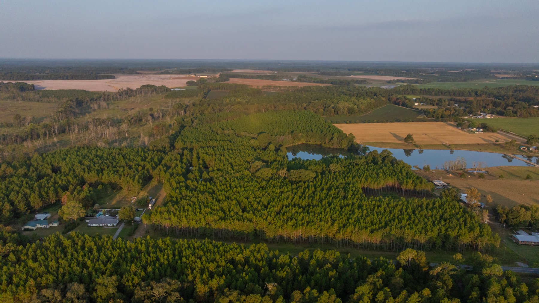 Image for 52± Acres - The Bridge Creek Farm - Stocked Pond, Pines, & Trophy Game - Offered Divided & as a Whole