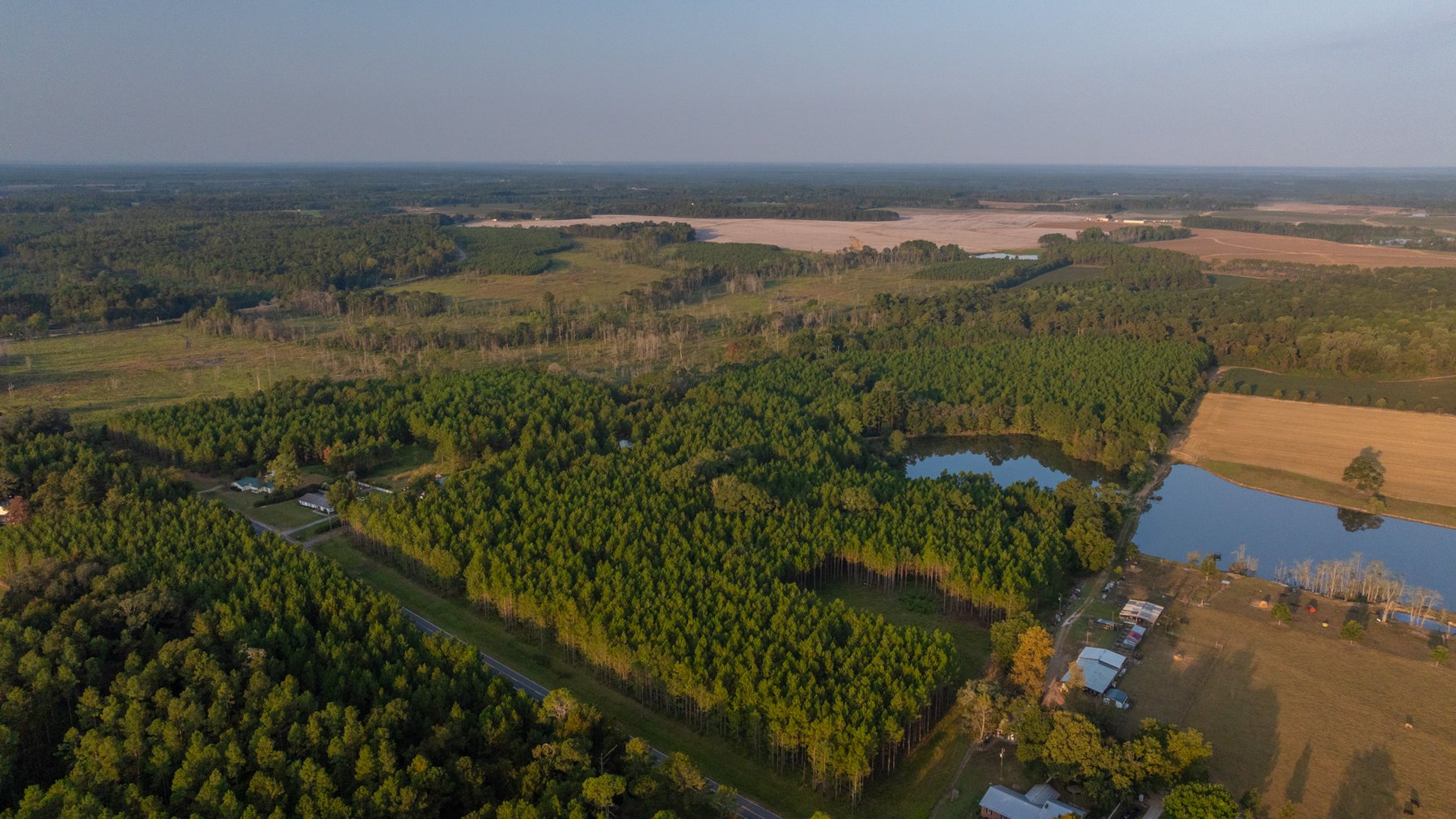 Image for 52± Acres - The Bridge Creek Farm - Stocked Pond, Pines, & Trophy Game - Offered Divided & as a Whole