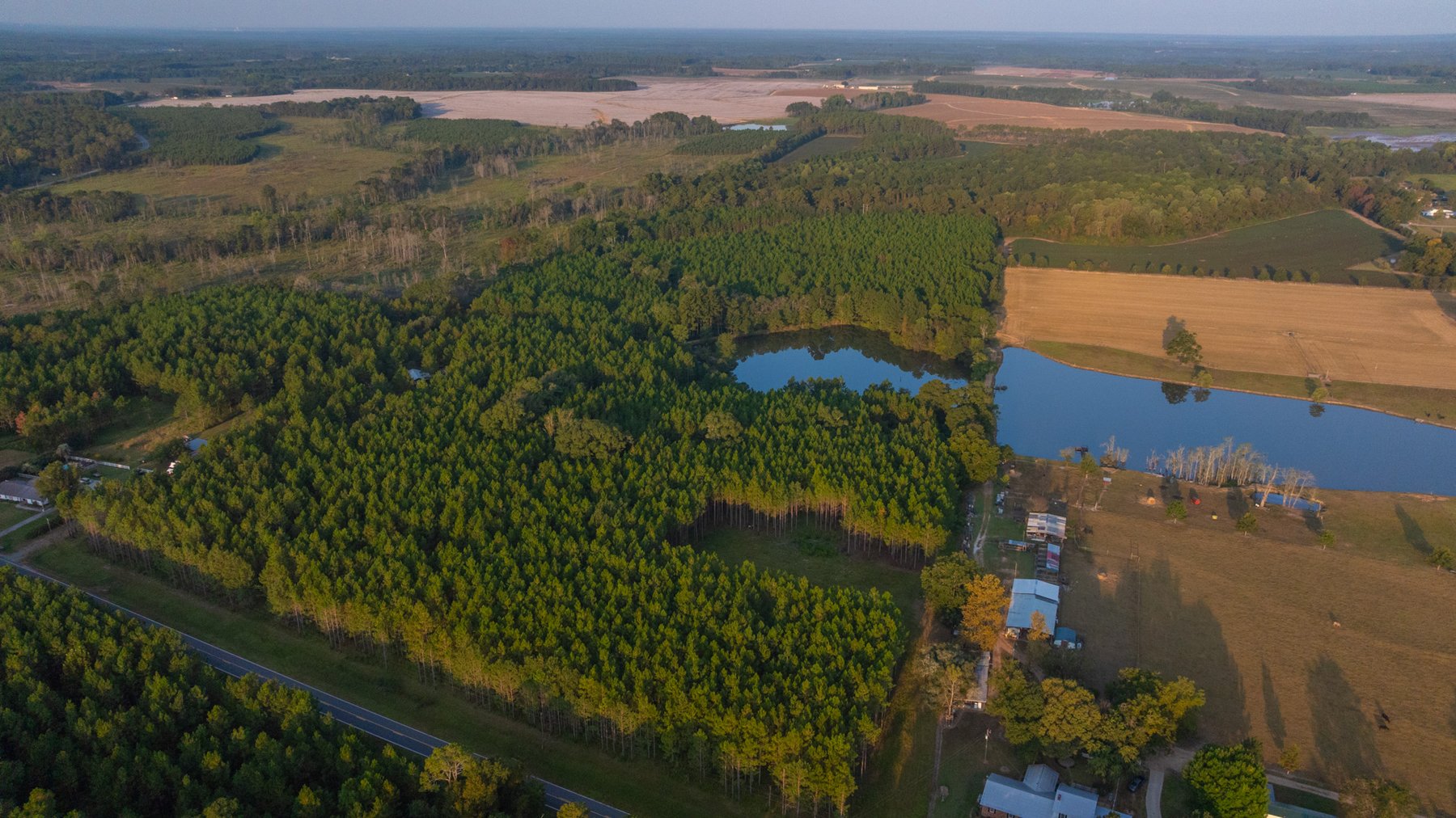 Image for 52± Acres - The Bridge Creek Farm - Stocked Pond, Pines, & Trophy Game - Offered Divided & as a Whole