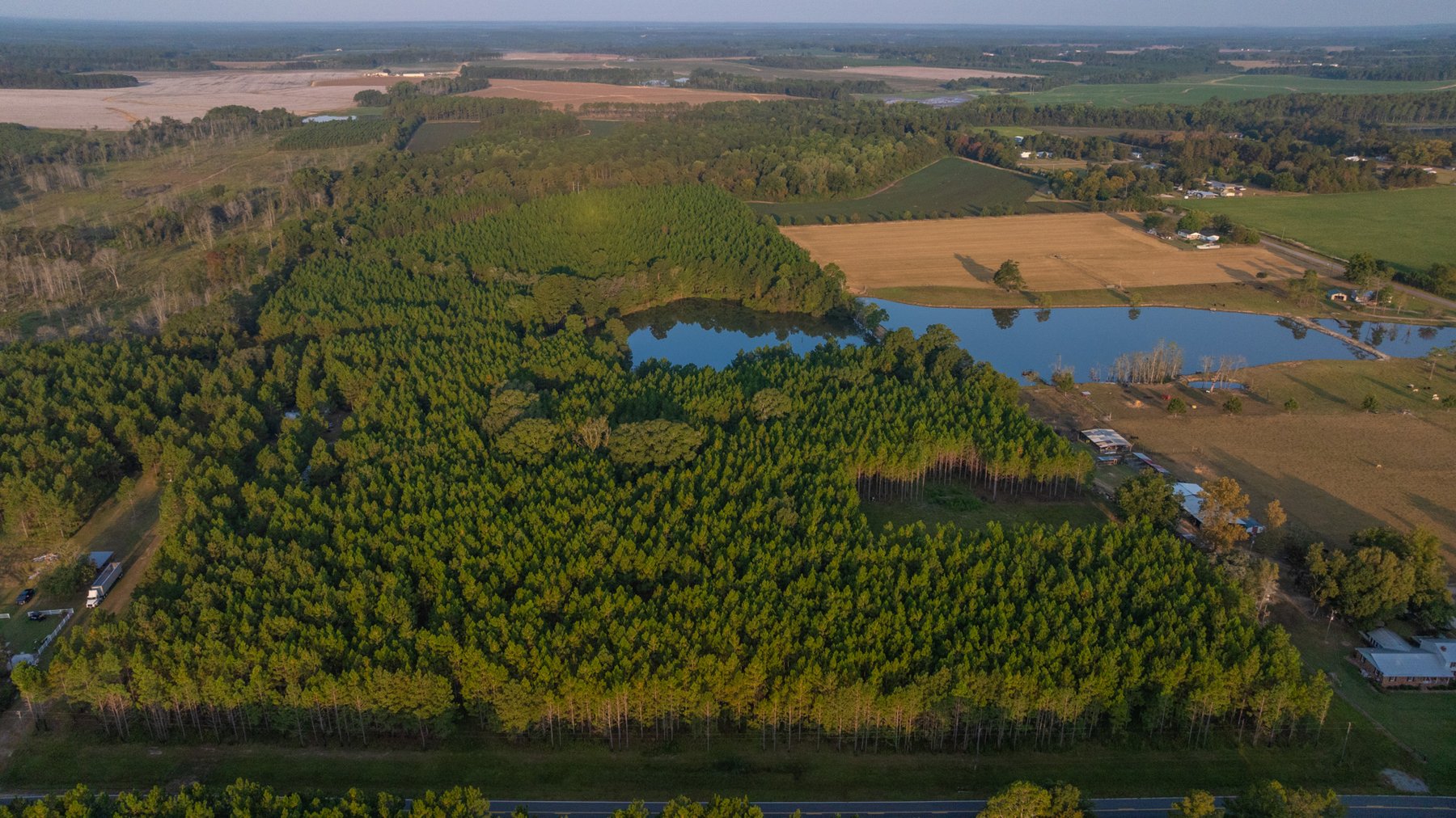 Image for 52± Acres - The Bridge Creek Farm - Stocked Pond, Pines, & Trophy Game - Offered Divided & as a Whole
