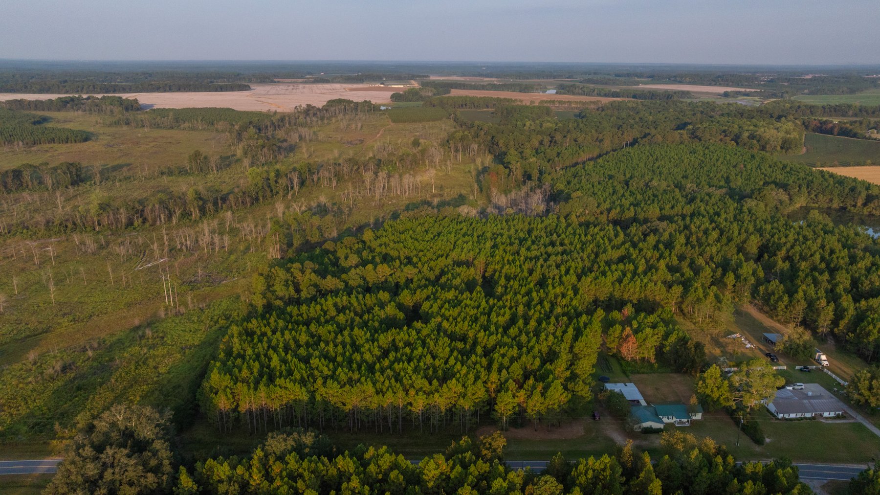 Image for 52± Acres - The Bridge Creek Farm - Stocked Pond, Pines, & Trophy Game - Offered Divided & as a Whole