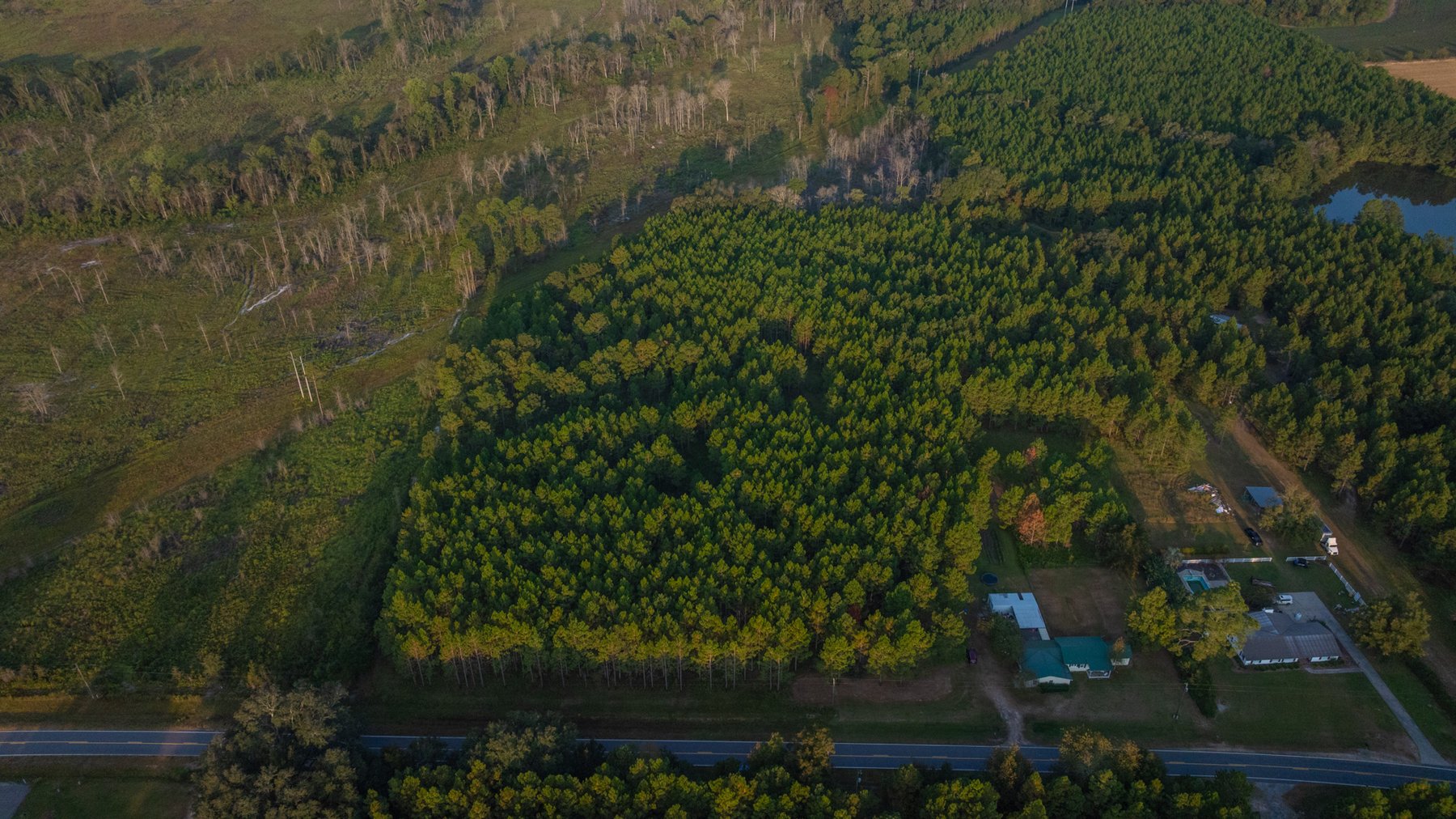 Image for 52± Acres - The Bridge Creek Farm - Stocked Pond, Pines, & Trophy Game - Offered Divided & as a Whole