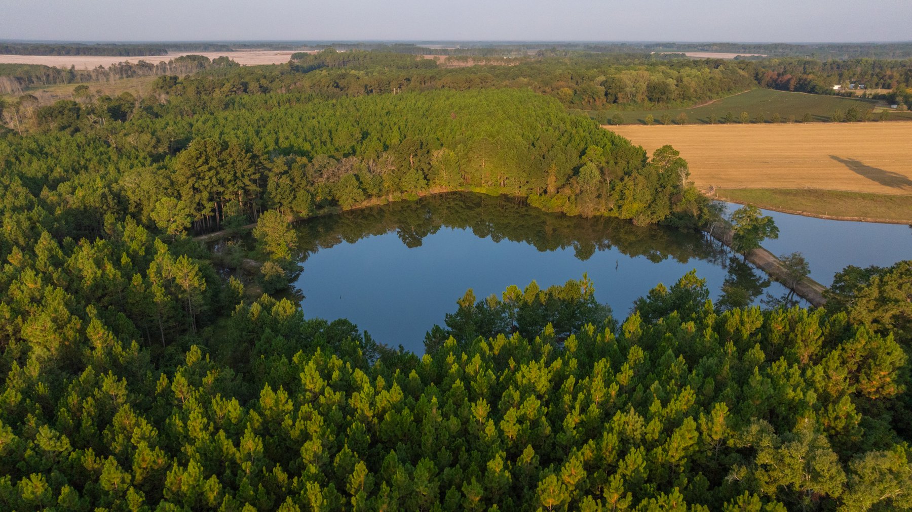 Image for 52± Acres - The Bridge Creek Farm - Stocked Pond, Pines, & Trophy Game - Offered Divided & as a Whole