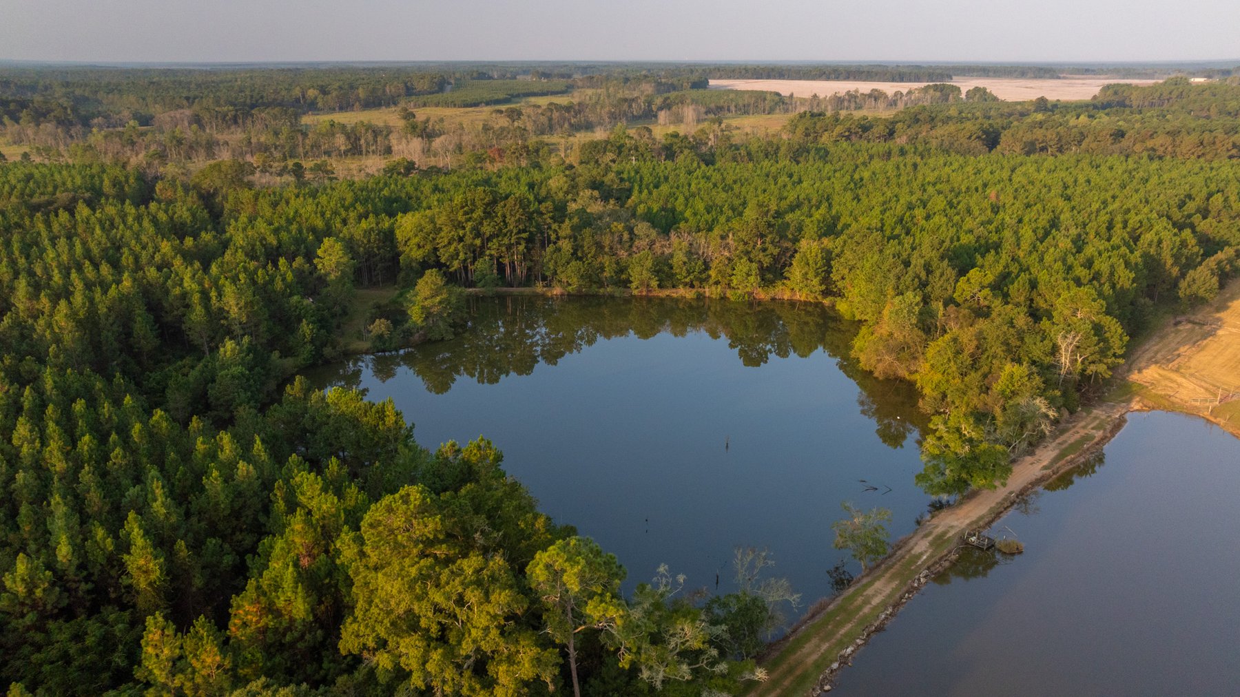 Image for 52± Acres - The Bridge Creek Farm - Stocked Pond, Pines, & Trophy Game - Offered Divided & as a Whole