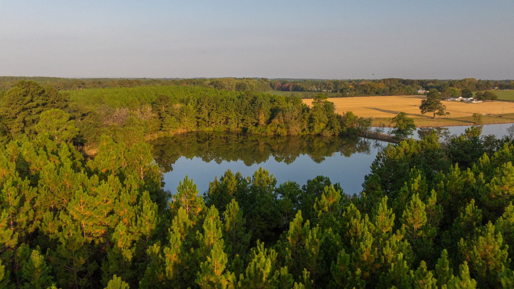 Image for 52± Acres - The Bridge Creek Farm - Stocked Pond, Pines, & Trophy Game - Offered Divided & as a Whole