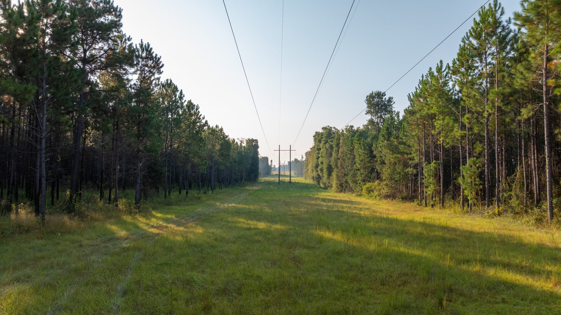 Image for 52± Acres - The Bridge Creek Farm - Stocked Pond, Pines, & Trophy Game - Offered Divided & as a Whole