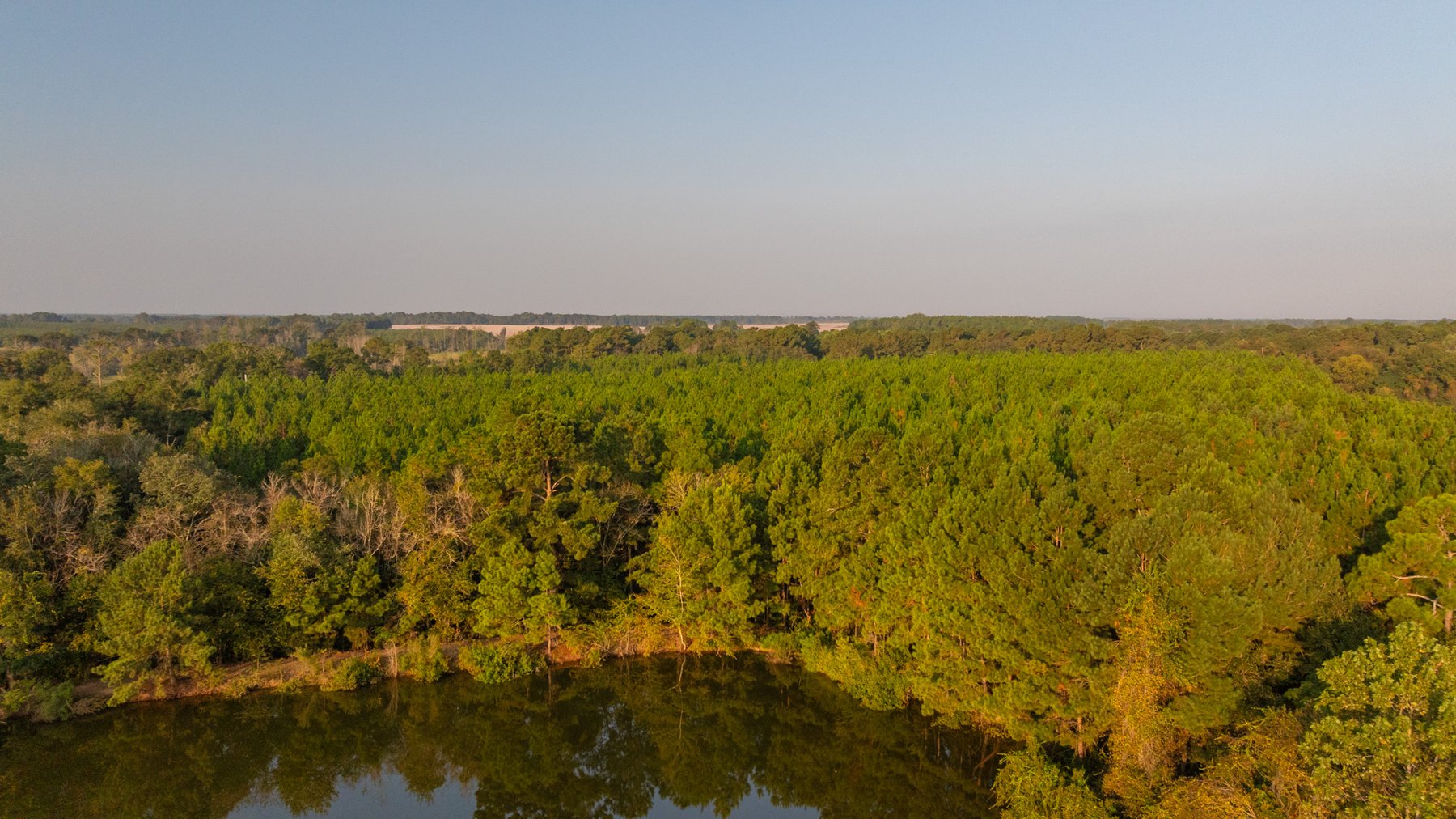Image for 52± Acres - The Bridge Creek Farm - Stocked Pond, Pines, & Trophy Game - Offered Divided & as a Whole