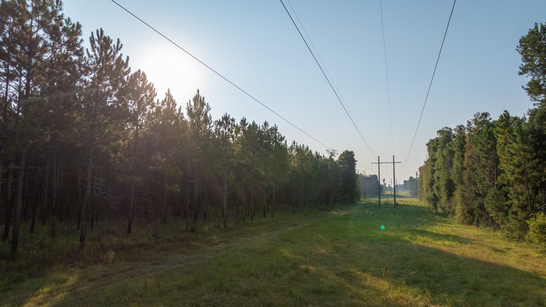 Image for 52± Acres - The Bridge Creek Farm - Stocked Pond, Pines, & Trophy Game - Offered Divided & as a Whole