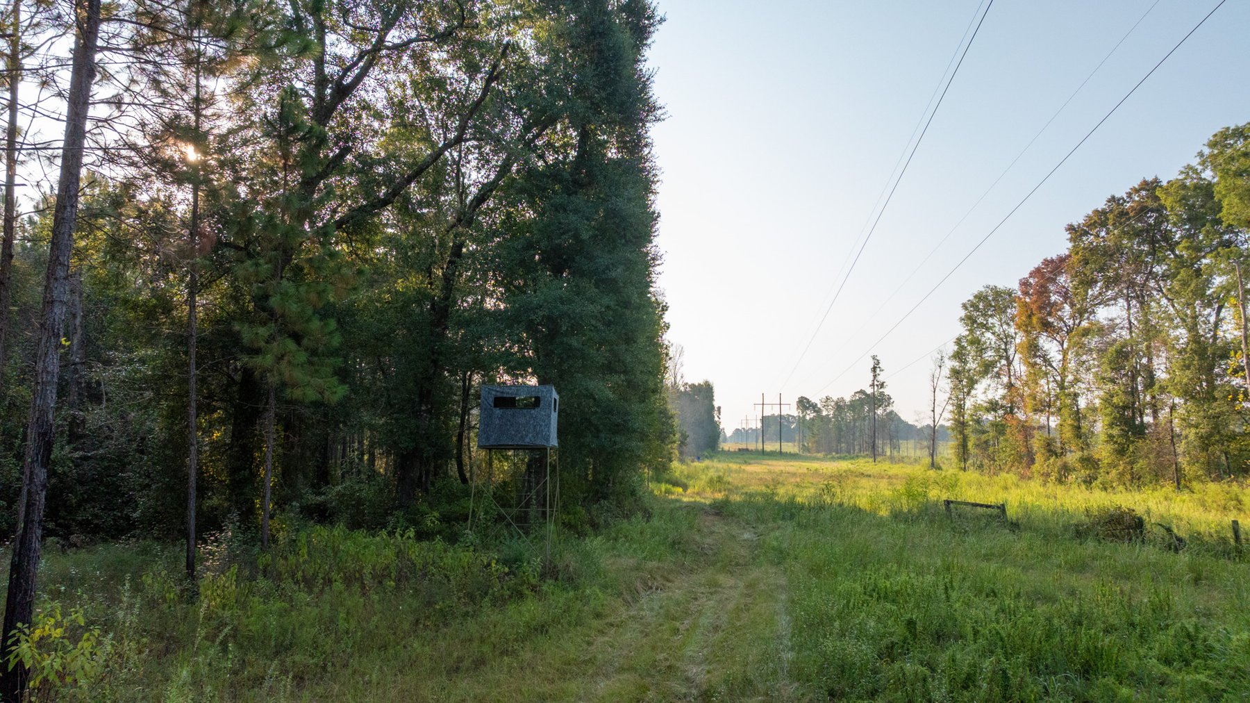 Image for 52± Acres - The Bridge Creek Farm - Stocked Pond, Pines, & Trophy Game - Offered Divided & as a Whole