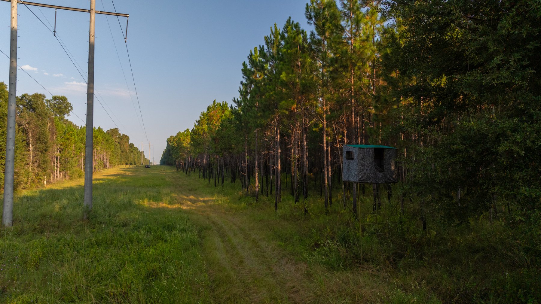 Image for 52± Acres - The Bridge Creek Farm - Stocked Pond, Pines, & Trophy Game - Offered Divided & as a Whole