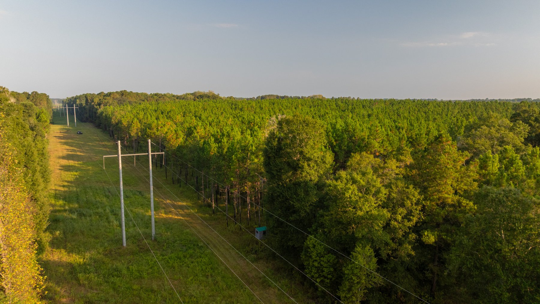 Image for 52± Acres - The Bridge Creek Farm - Stocked Pond, Pines, & Trophy Game - Offered Divided & as a Whole