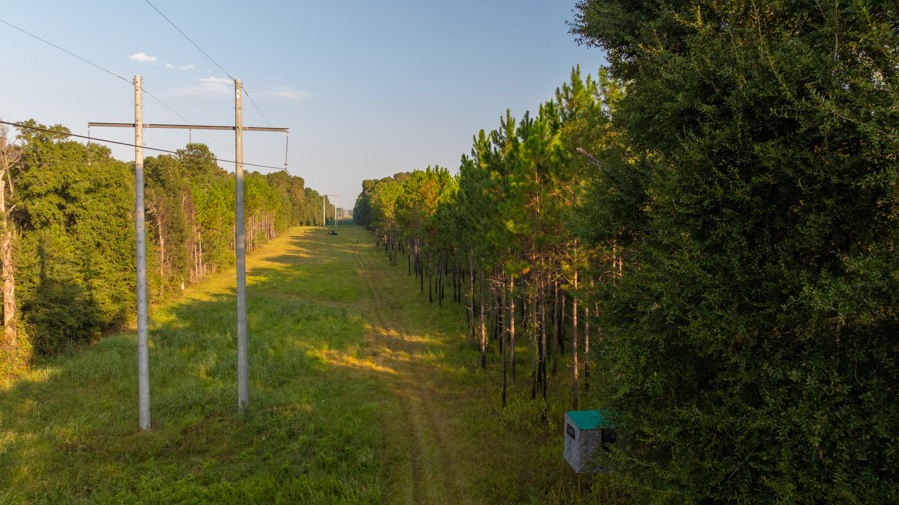 Image for 52± Acres - The Bridge Creek Farm - Stocked Pond, Pines, & Trophy Game - Offered Divided & as a Whole