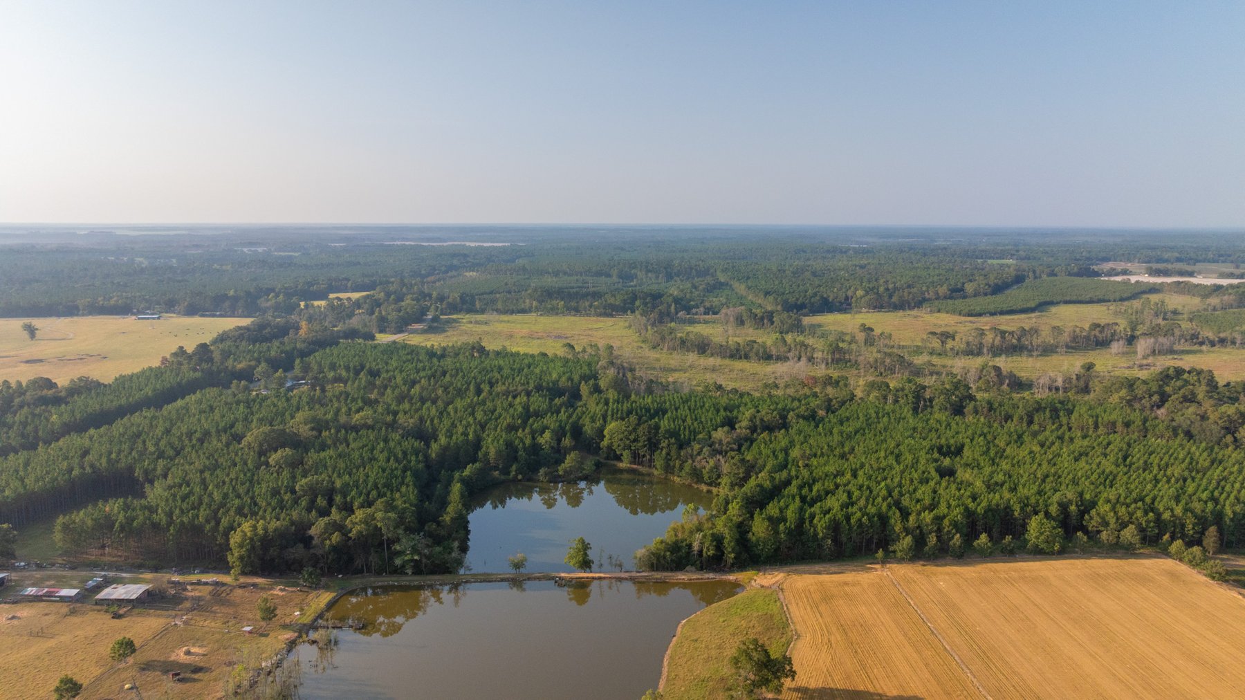 Image for 52± Acres - The Bridge Creek Farm - Stocked Pond, Pines, & Trophy Game - Offered Divided & as a Whole