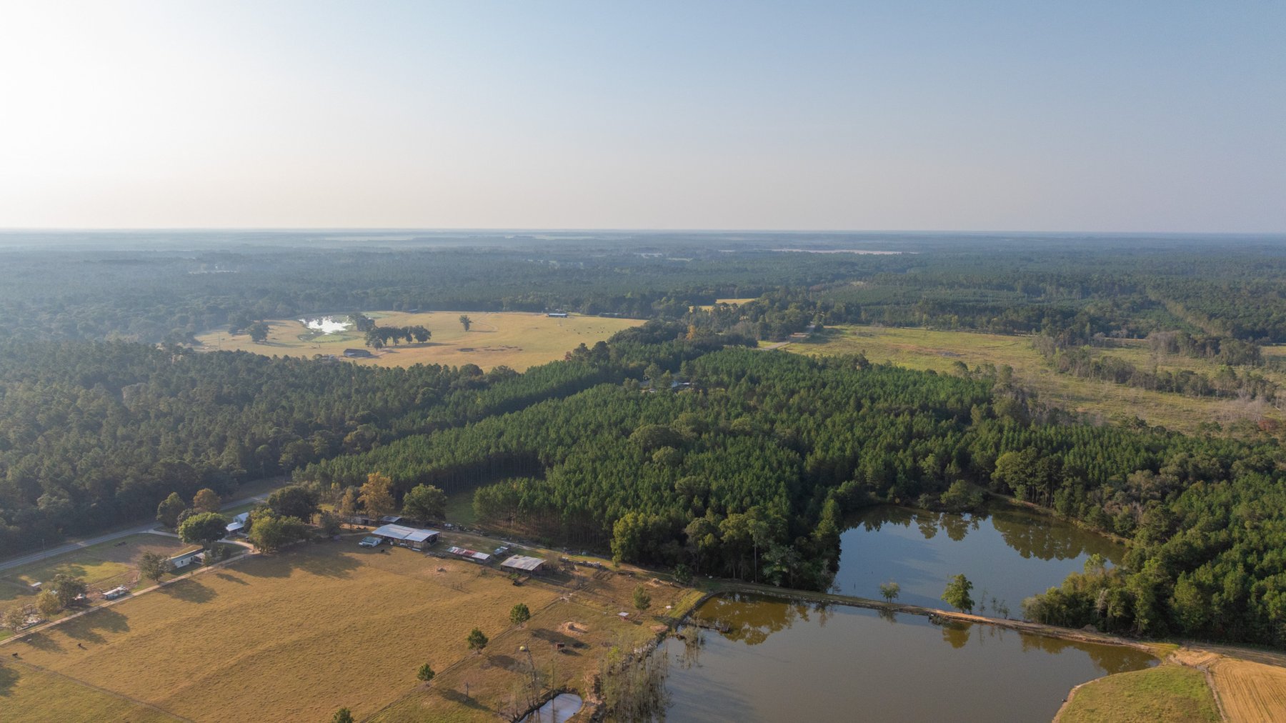 Image for 52± Acres - The Bridge Creek Farm - Stocked Pond, Pines, & Trophy Game - Offered Divided & as a Whole