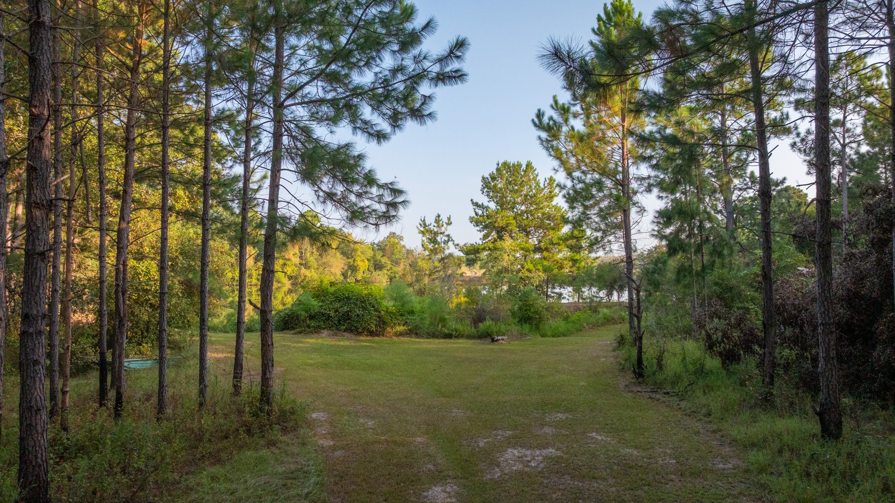 Image for 52± Acres - The Bridge Creek Farm - Stocked Pond, Pines, & Trophy Game - Offered Divided & as a Whole