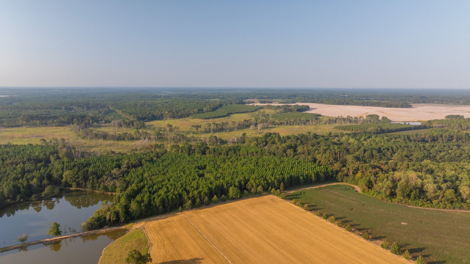 Image for 52± Acres - The Bridge Creek Farm - Stocked Pond, Pines, & Trophy Game - Offered Divided & as a Whole