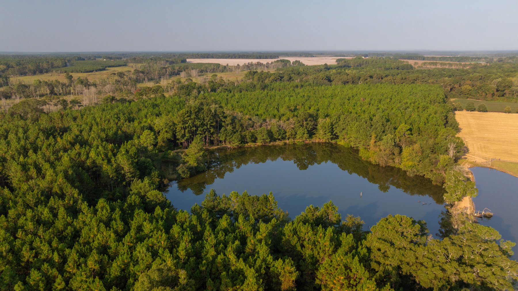 Image for 52± Acres - The Bridge Creek Farm - Stocked Pond, Pines, & Trophy Game - Offered Divided & as a Whole