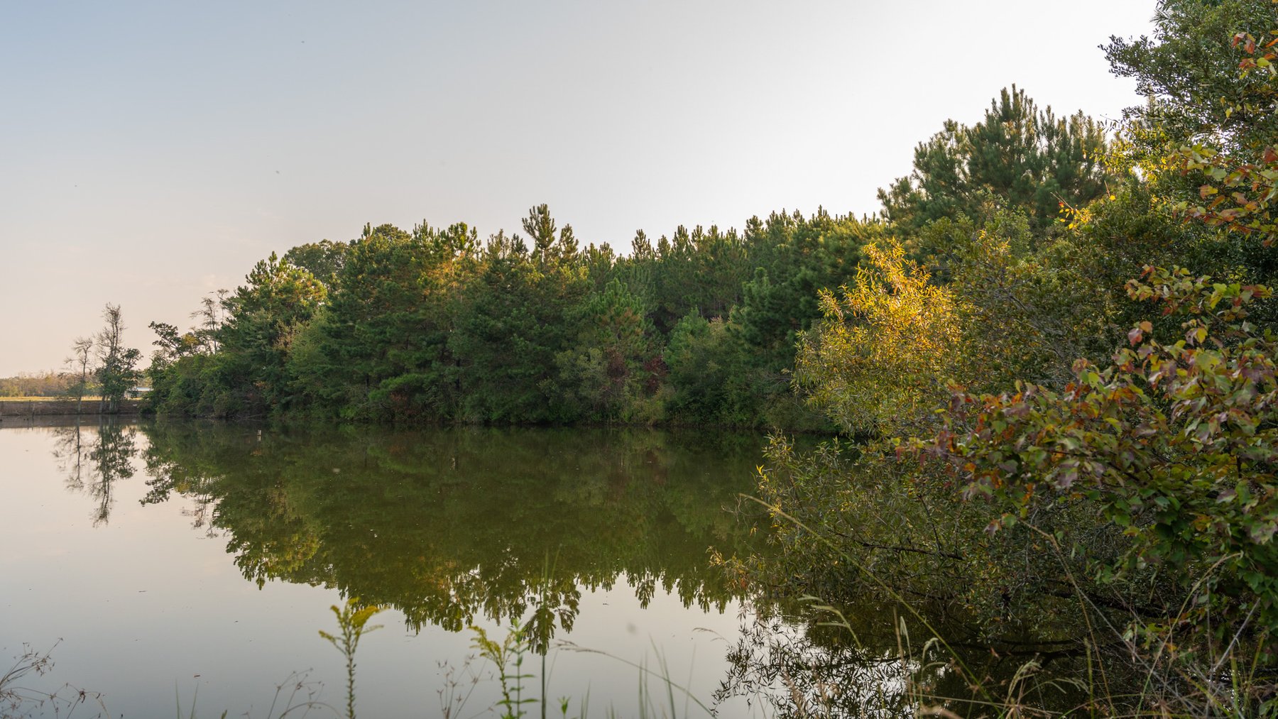 Image for 52± Acres - The Bridge Creek Farm - Stocked Pond, Pines, & Trophy Game - Offered Divided & as a Whole