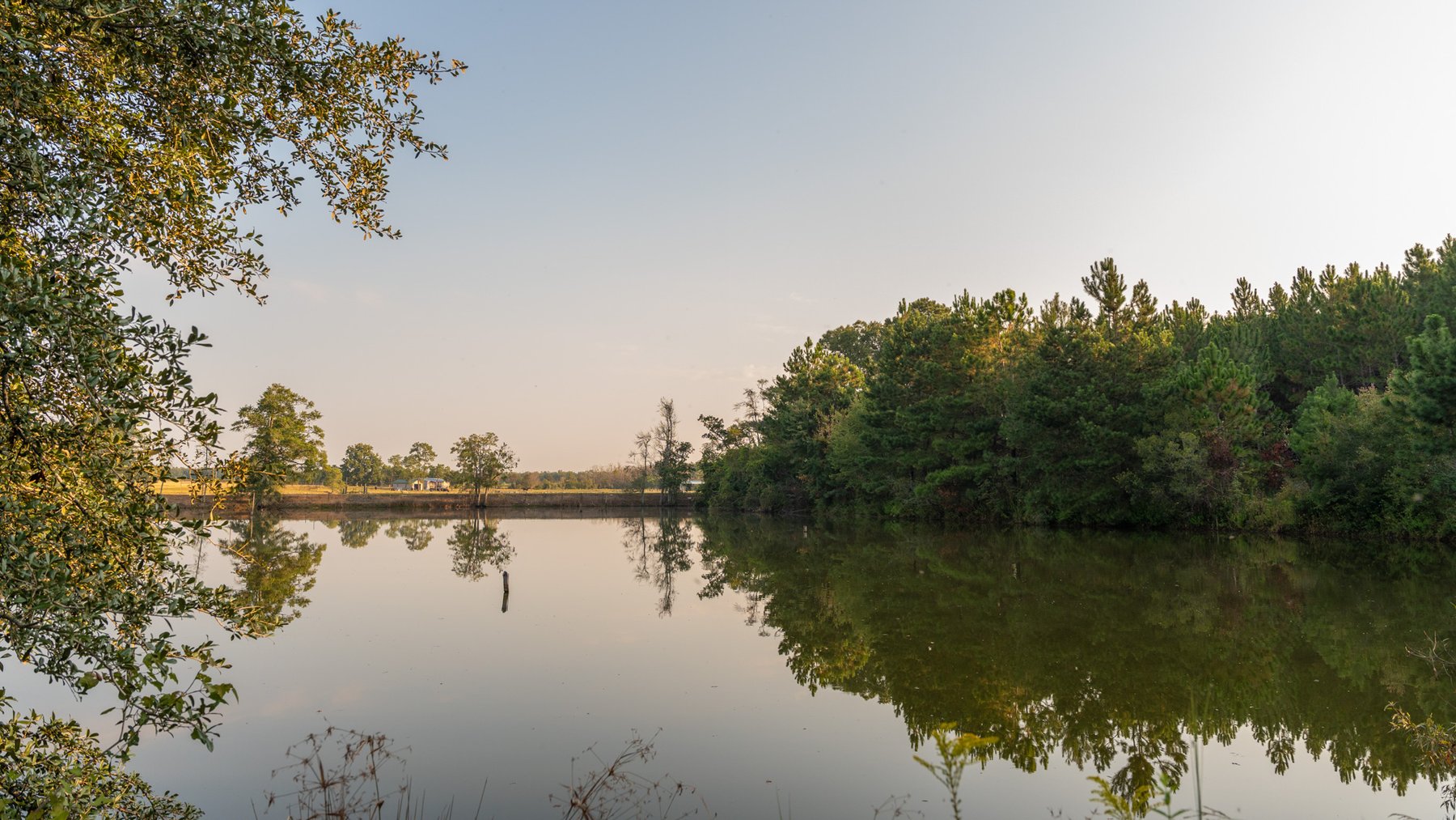 Image for 52± Acres - The Bridge Creek Farm - Stocked Pond, Pines, & Trophy Game - Offered Divided & as a Whole