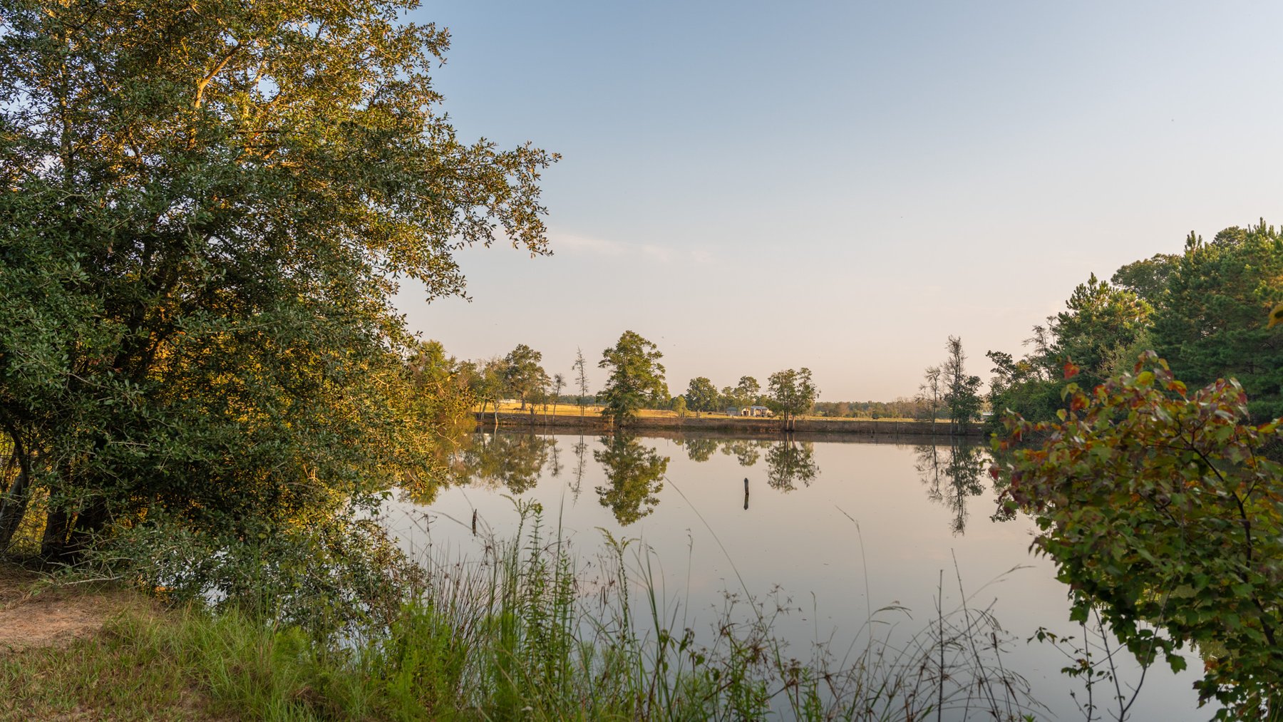 Image for 52± Acres - The Bridge Creek Farm - Stocked Pond, Pines, & Trophy Game - Offered Divided & as a Whole