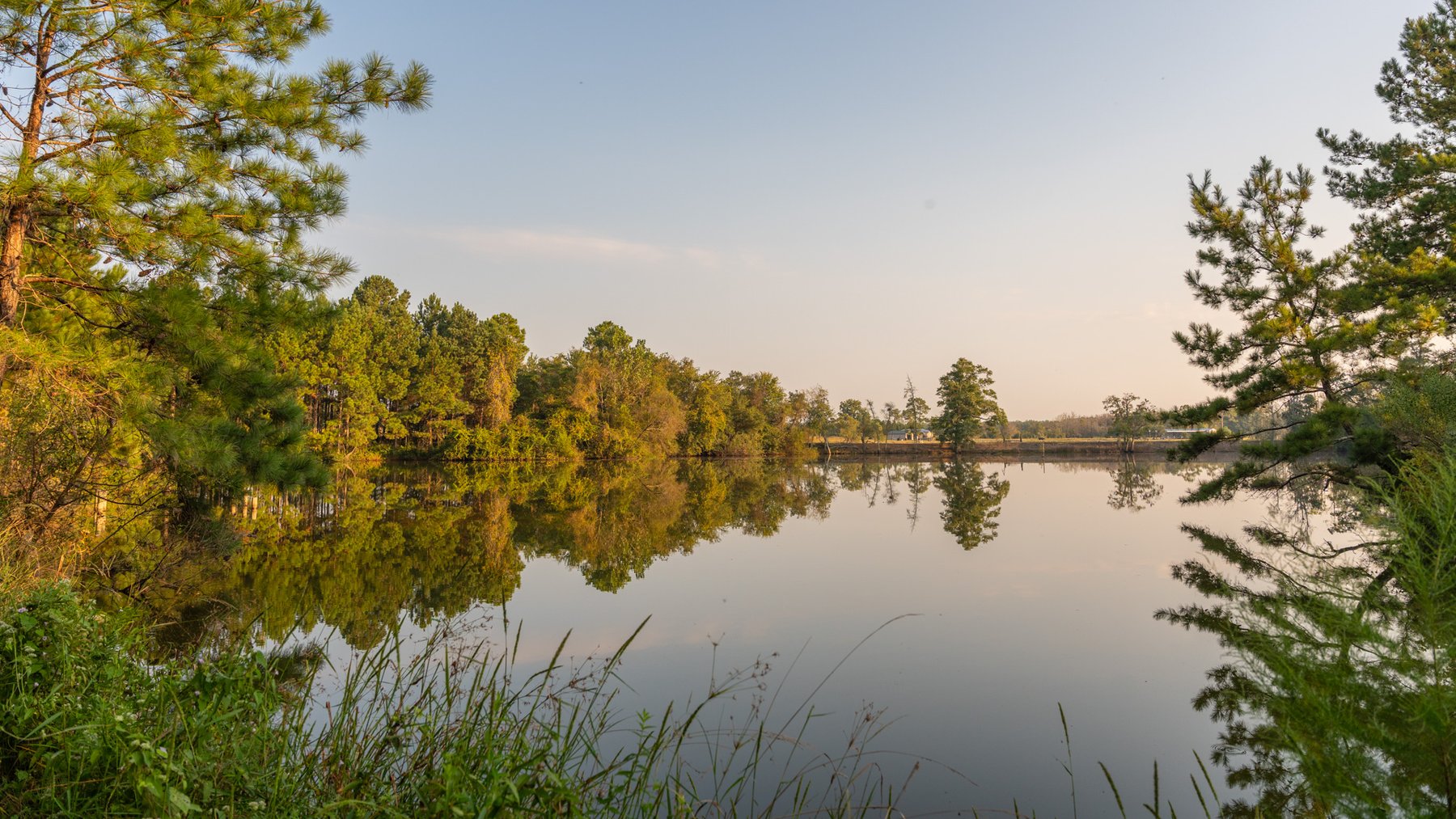 Image for 52± Acres - The Bridge Creek Farm - Stocked Pond, Pines, & Trophy Game - Offered Divided & as a Whole