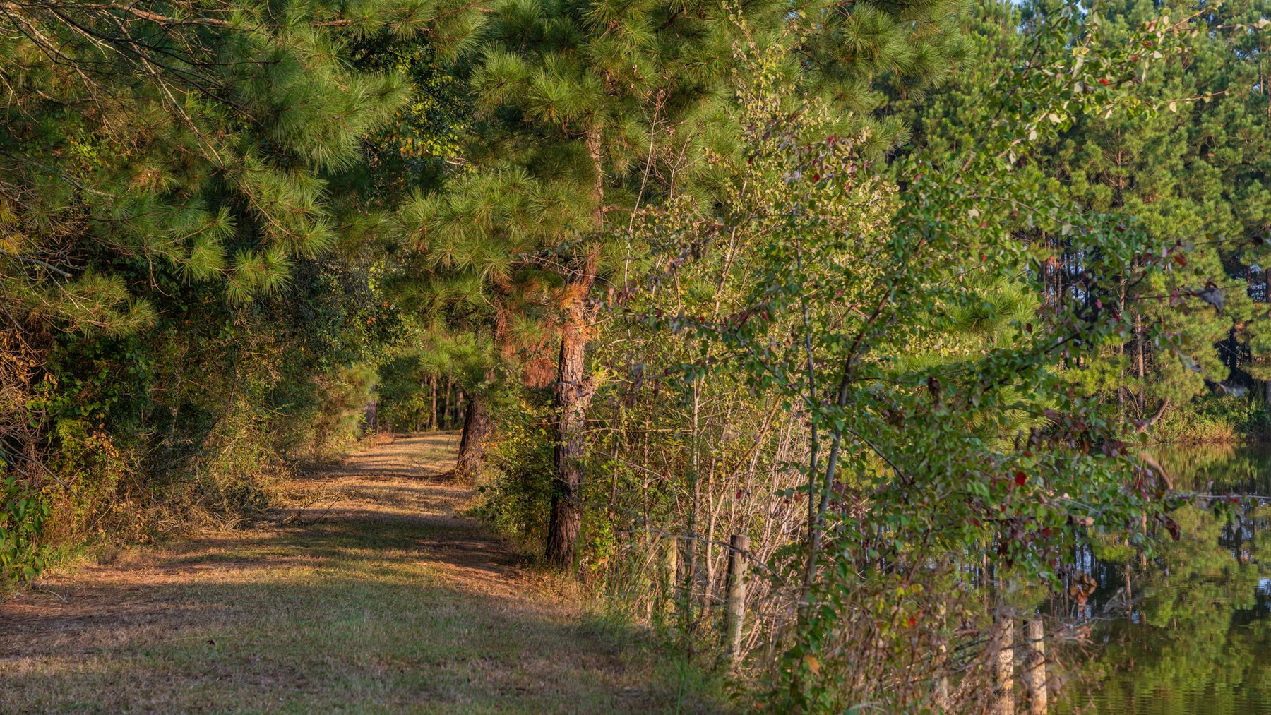 Image for 52± Acres - The Bridge Creek Farm - Stocked Pond, Pines, & Trophy Game - Offered Divided & as a Whole