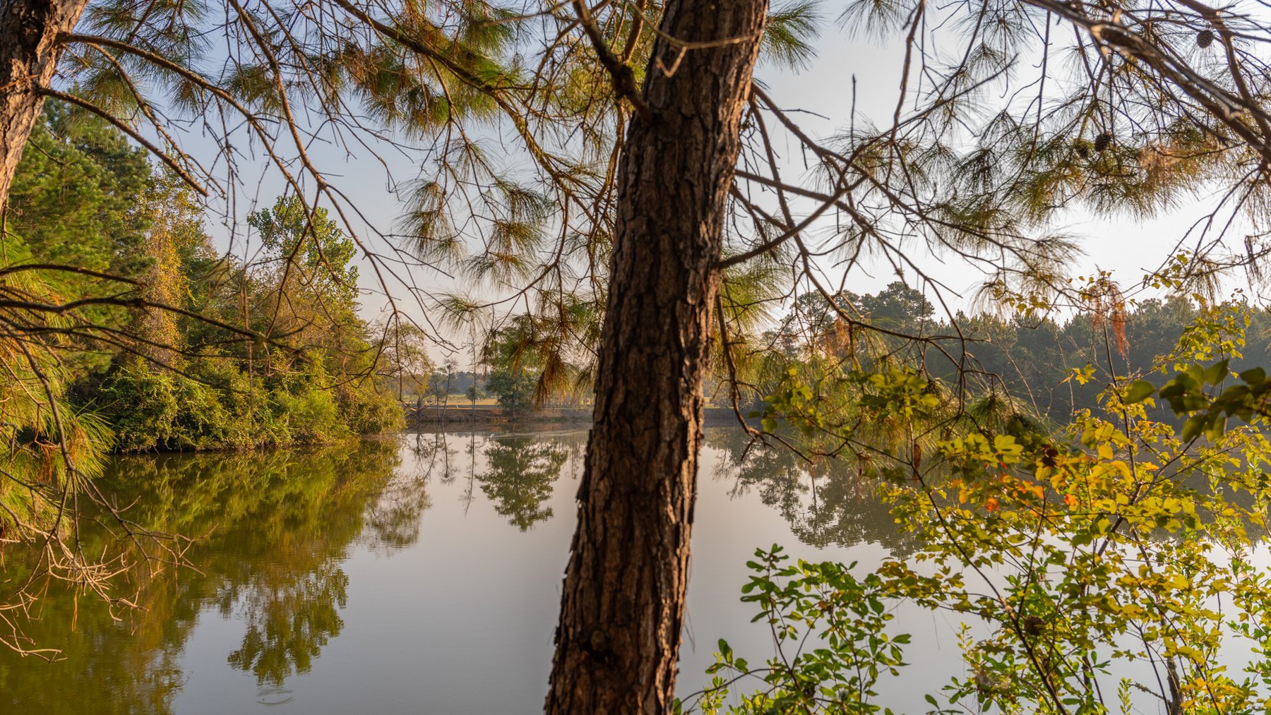 Image for 52± Acres - The Bridge Creek Farm - Stocked Pond, Pines, & Trophy Game - Offered Divided & as a Whole