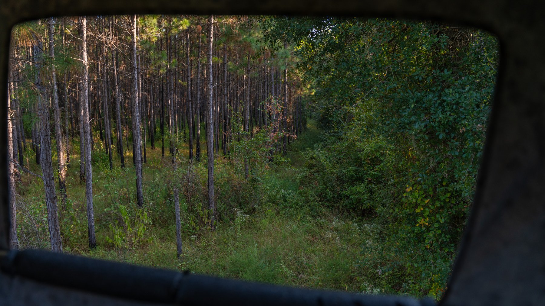 Image for 52± Acres - The Bridge Creek Farm - Stocked Pond, Pines, & Trophy Game - Offered Divided & as a Whole