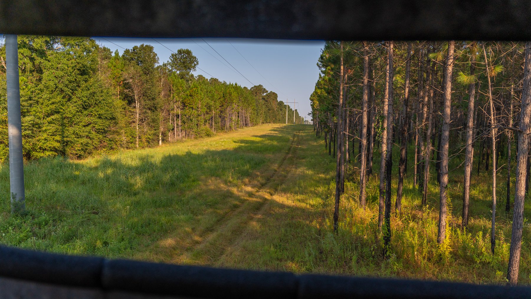 Image for 52± Acres - The Bridge Creek Farm - Stocked Pond, Pines, & Trophy Game - Offered Divided & as a Whole