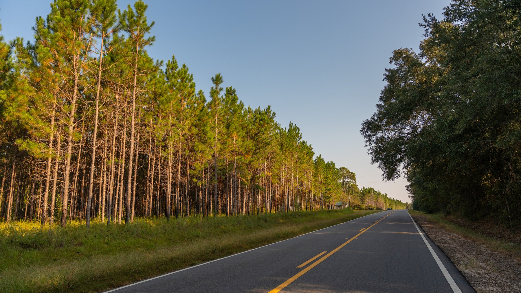 Image for 52± Acres - The Bridge Creek Farm - Stocked Pond, Pines, & Trophy Game - Offered Divided & as a Whole