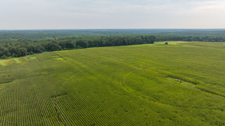 Image for Perryman Place - 305+/- Total Acres - Premium Row Crop Farm - Deep Well & 7 Irrigation Pivots