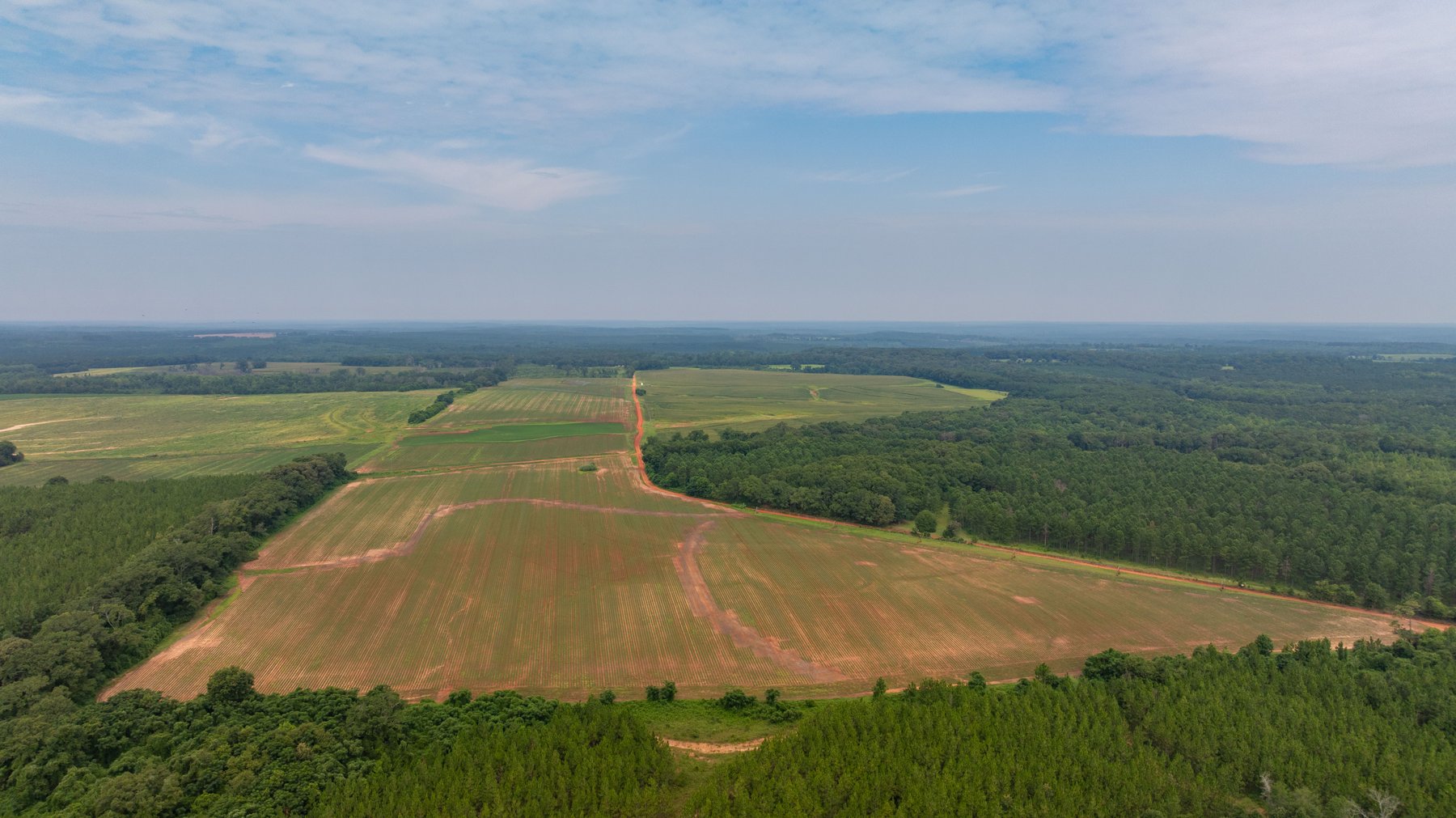 Image for Perryman Place - 305+/- Total Acres - Premium Row Crop Farm - Deep Well & 7 Irrigation Pivots