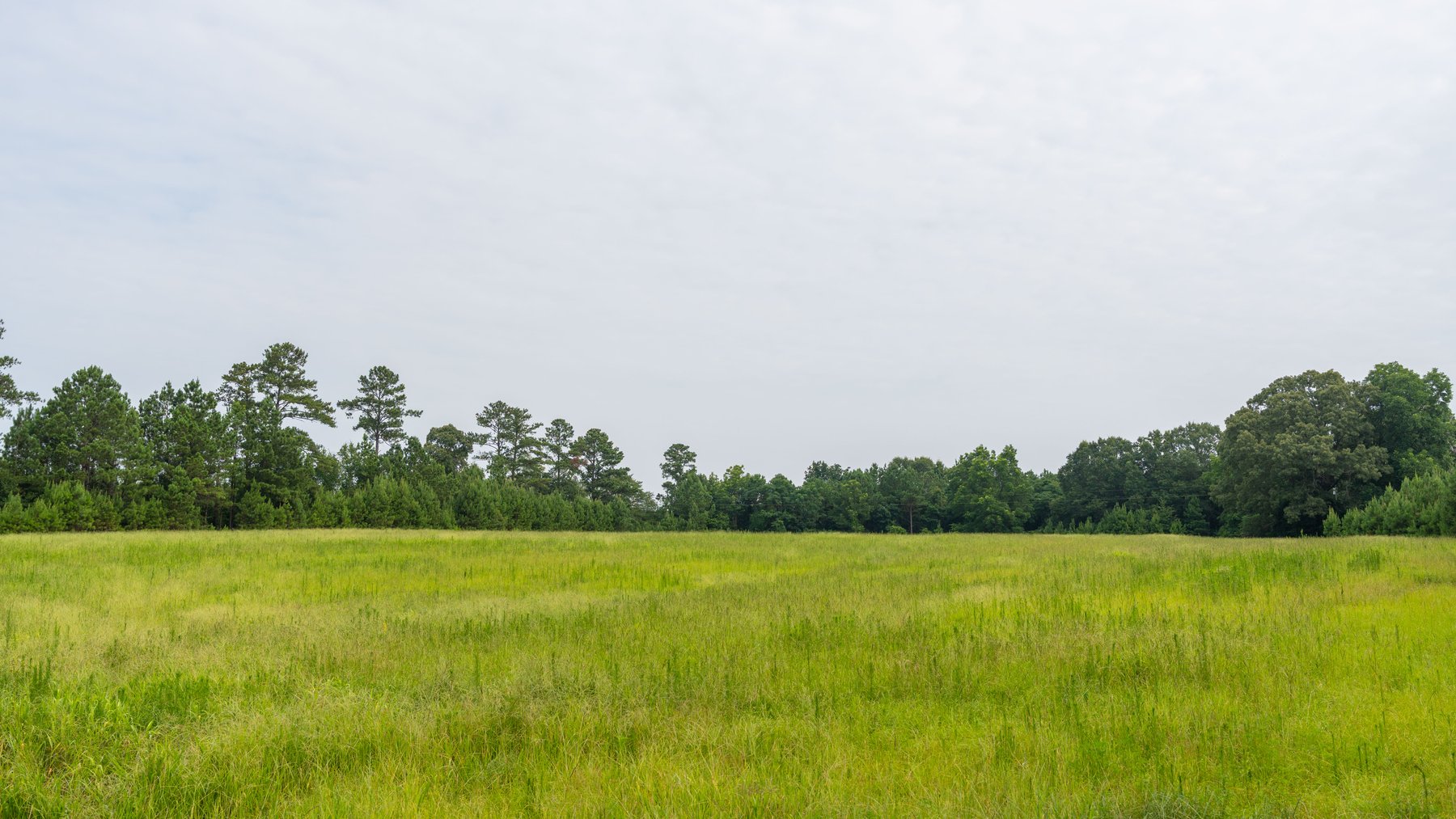 Image for Perryman Place - 305+/- Total Acres - Premium Row Crop Farm - Deep Well & 7 Irrigation Pivots